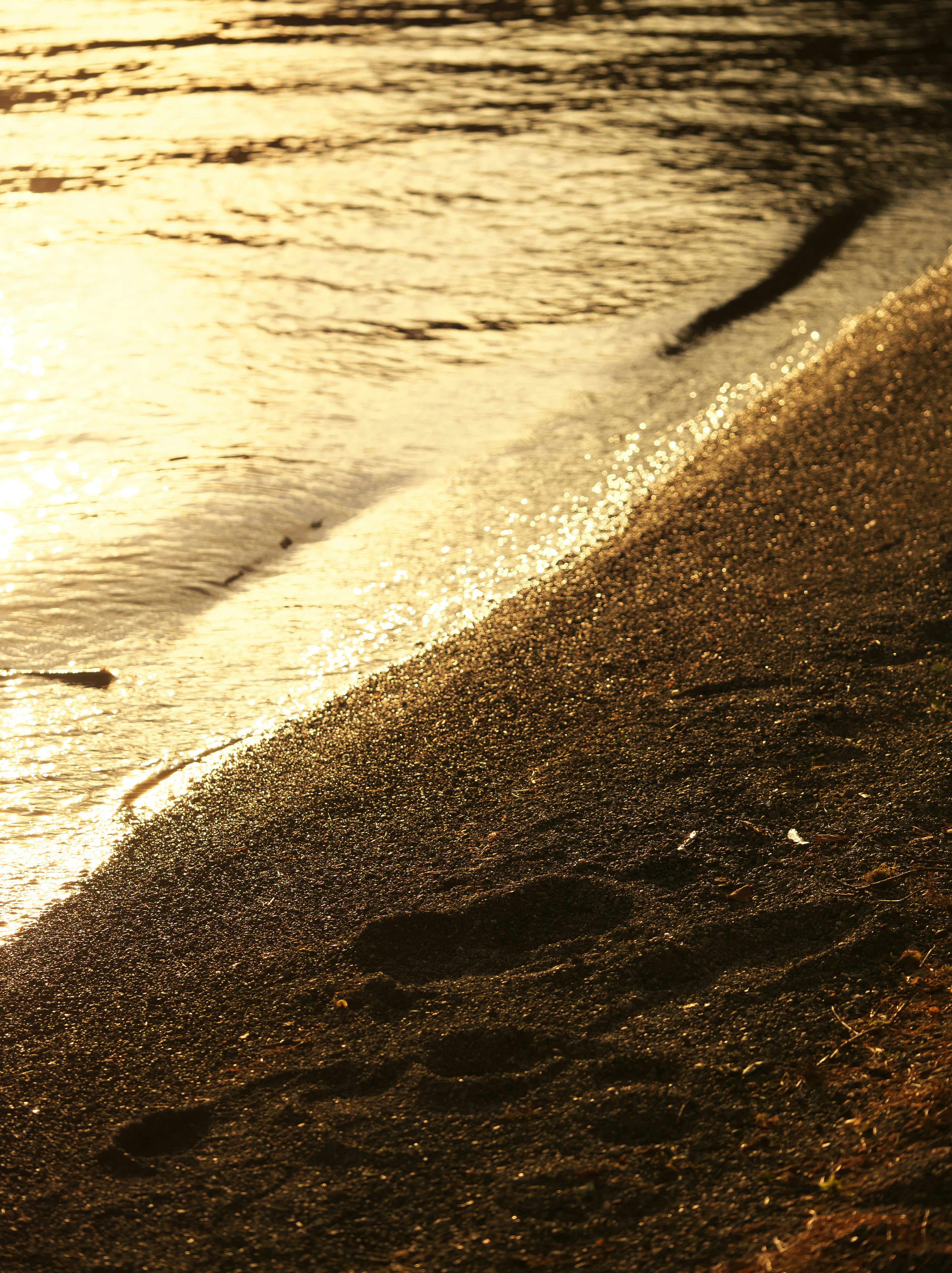 Footprints on the sandy beach at sunset