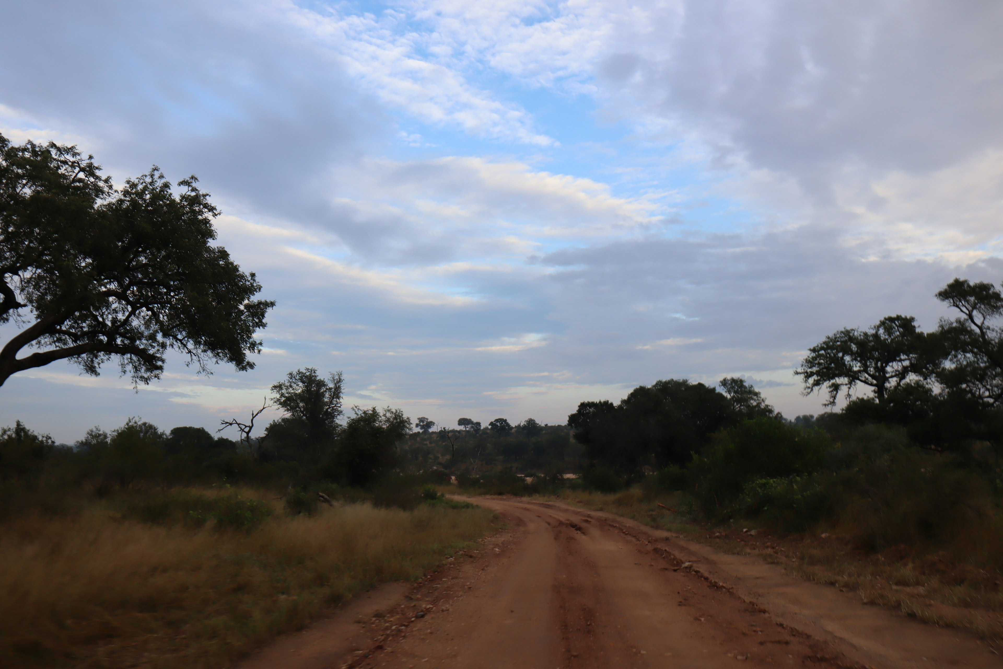 Camino de tierra polvoriento bajo un cielo parcialmente nublado