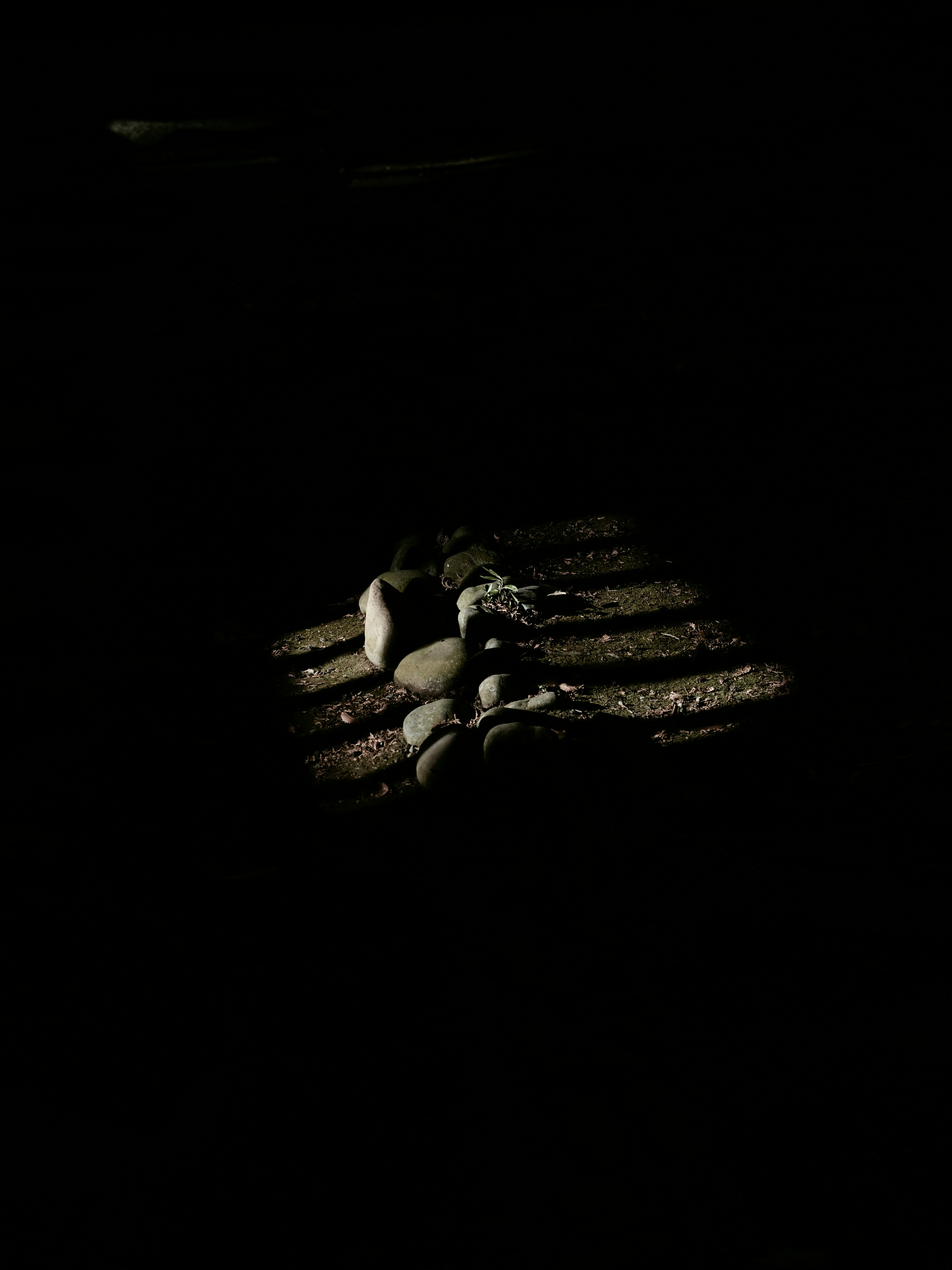 Contrast of light and shadow with objects in a dark setting