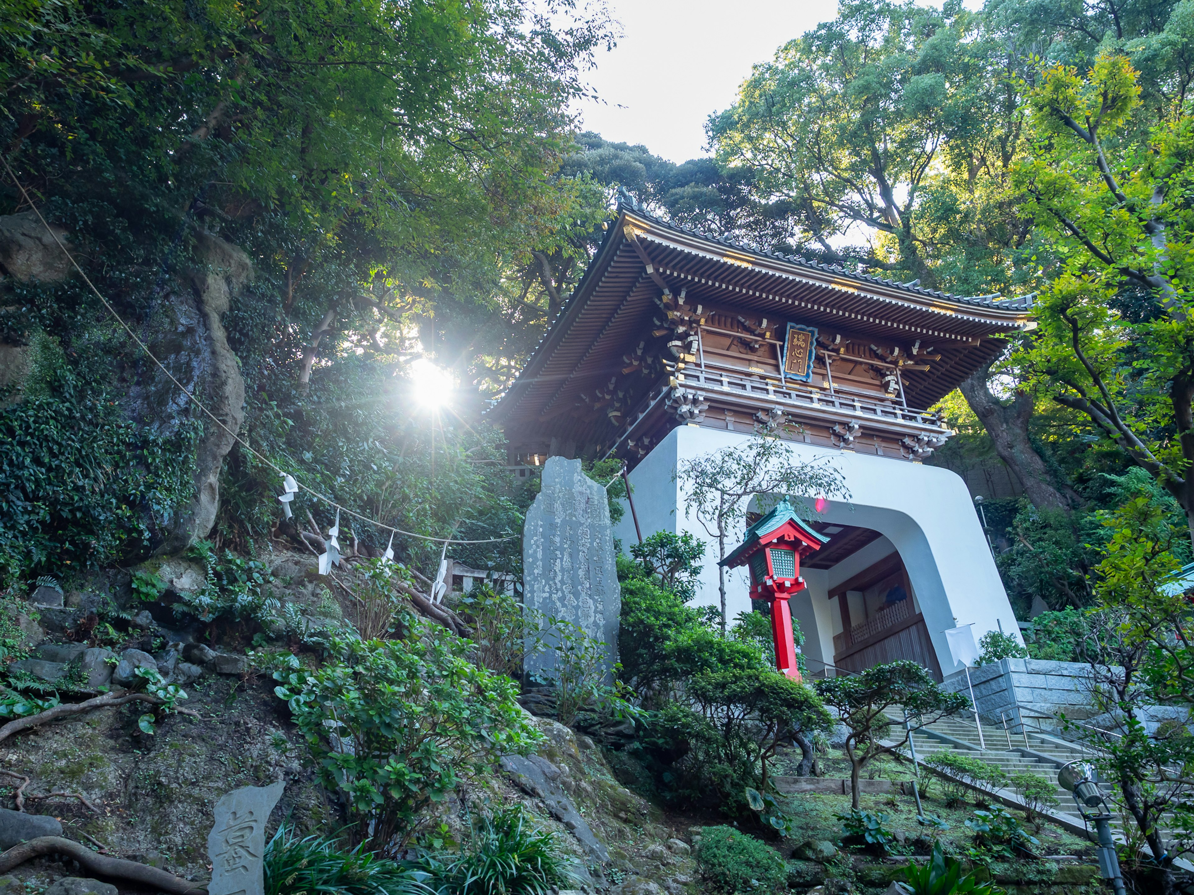 山の中の神社の鳥居と神社の建物が見える風景