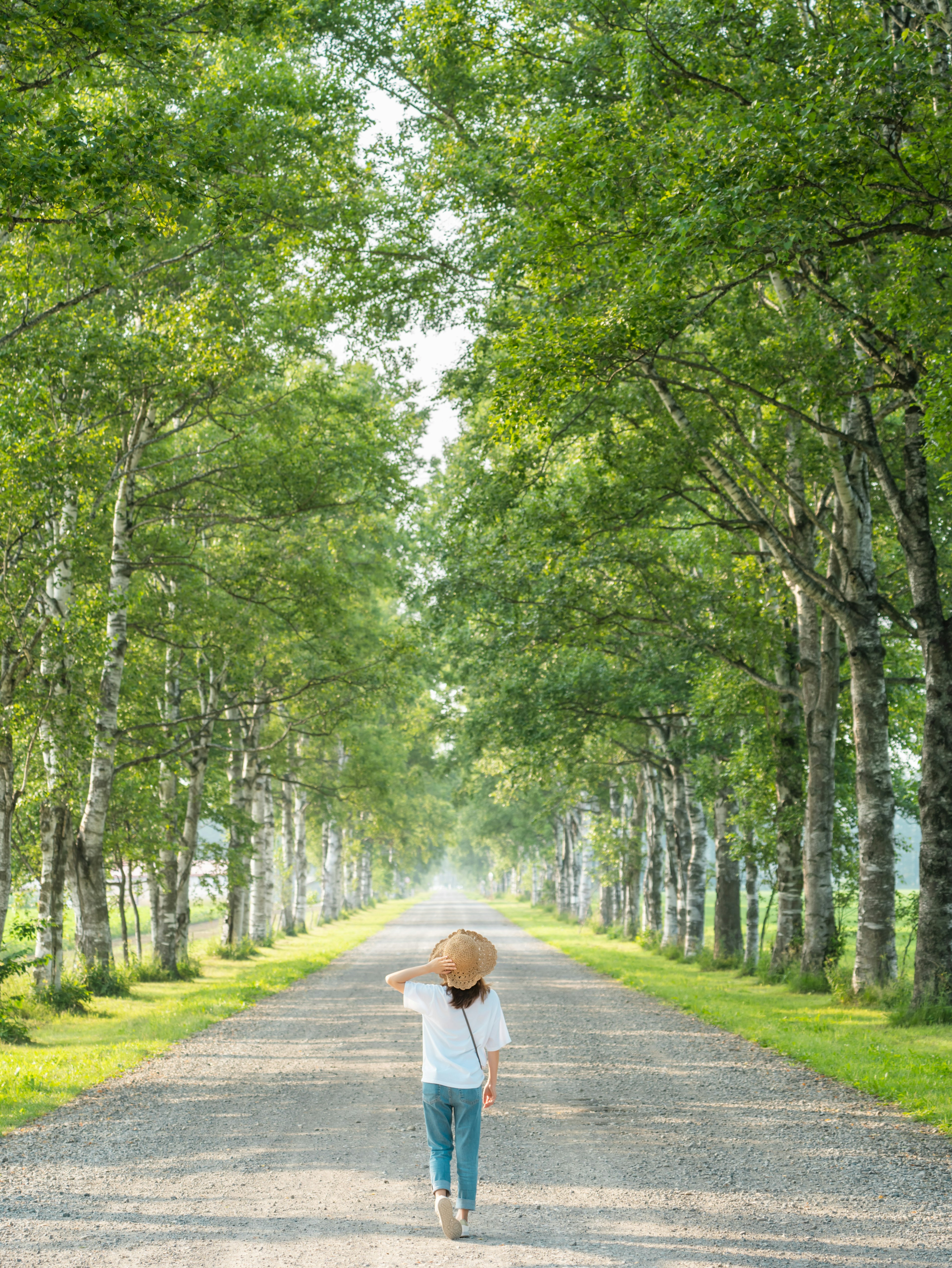 Enfant marchant le long d'un chemin bordé d'arbres avec un chapeau de paille