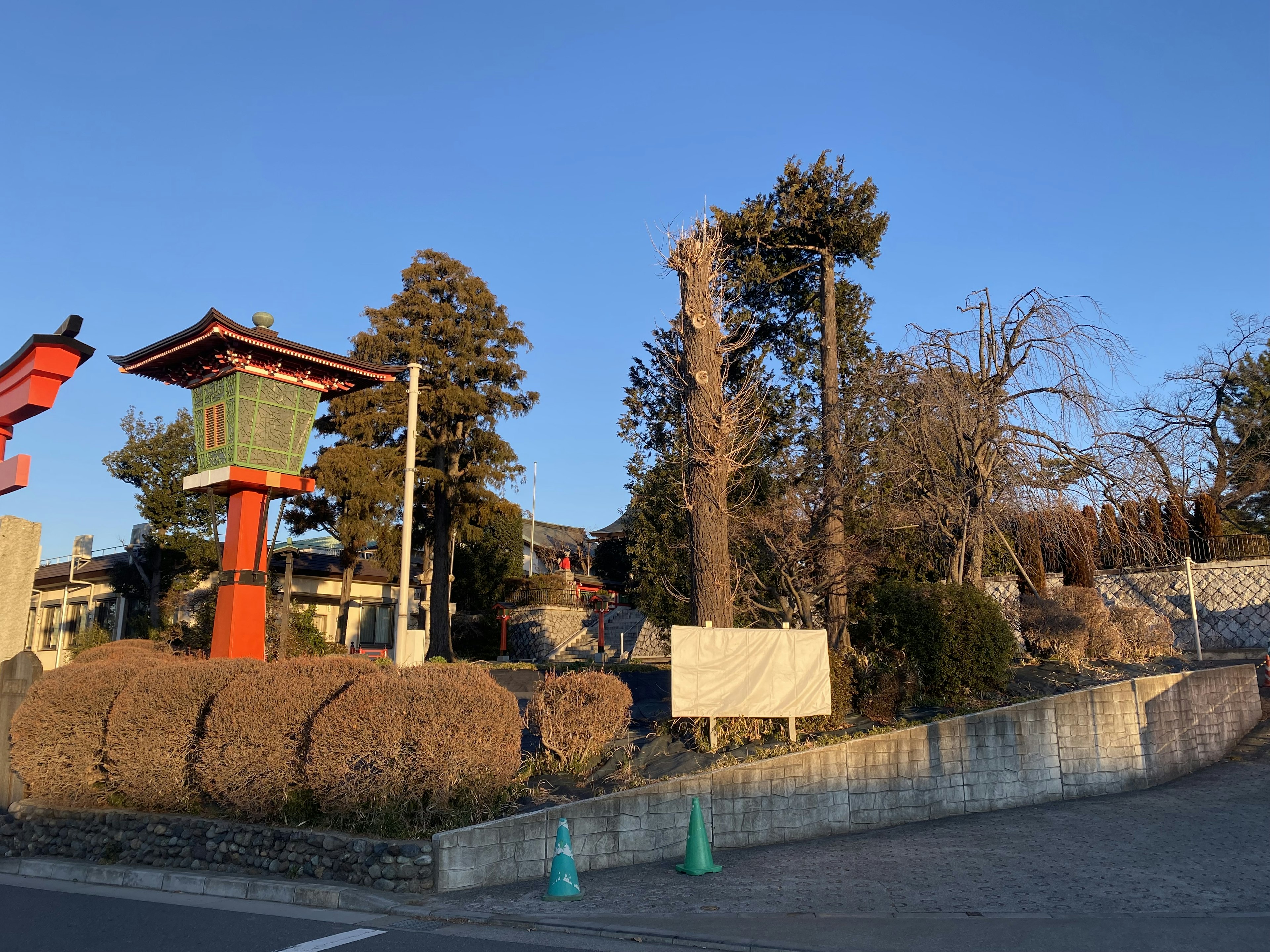 Lanterna giapponese tradizionale e alberi sotto un cielo blu chiaro