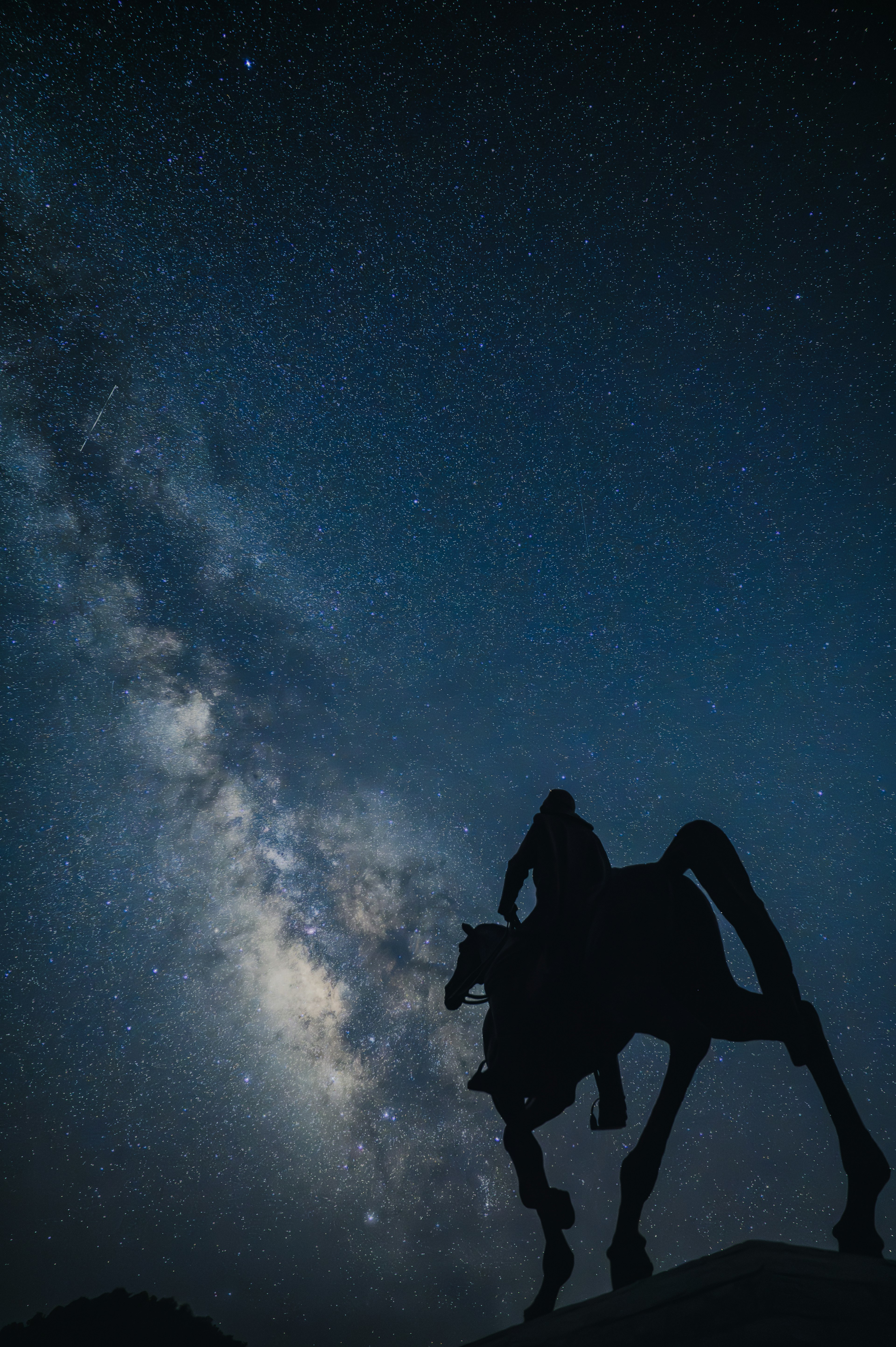 星空の下にある馬のシルエットと銀河の美しい景色