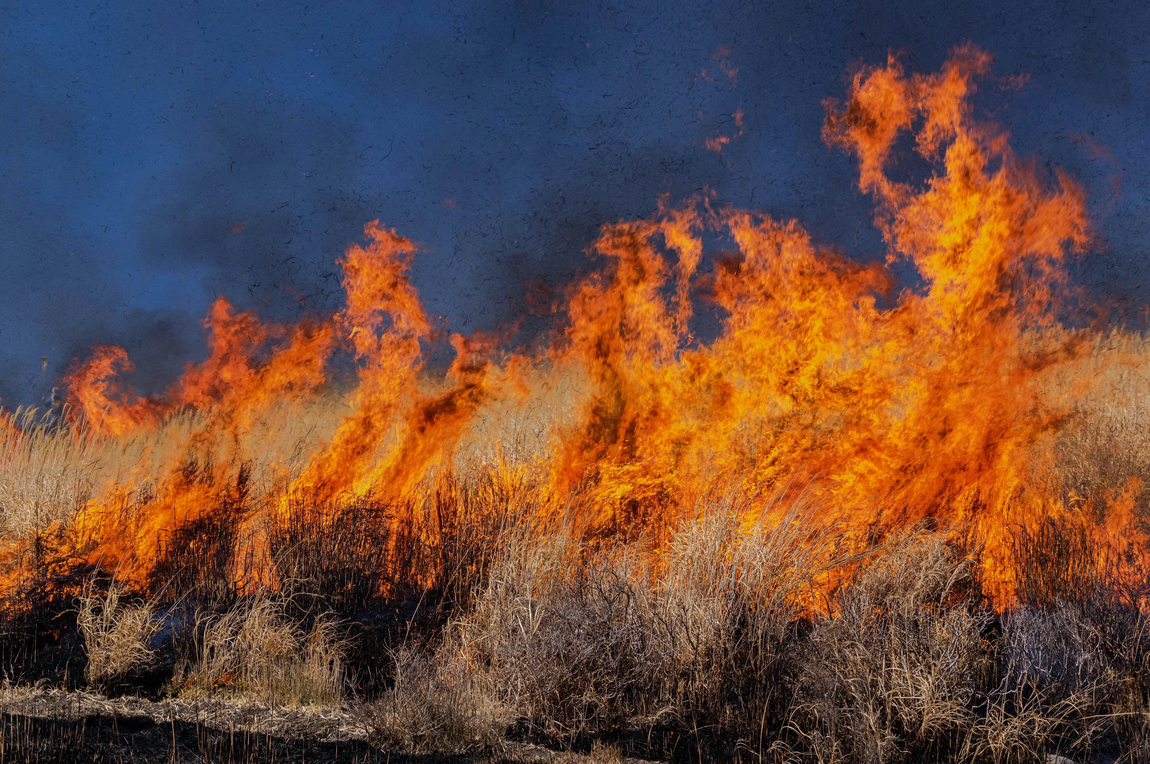 Flammen, die aus einem Grasfeuer aufsteigen