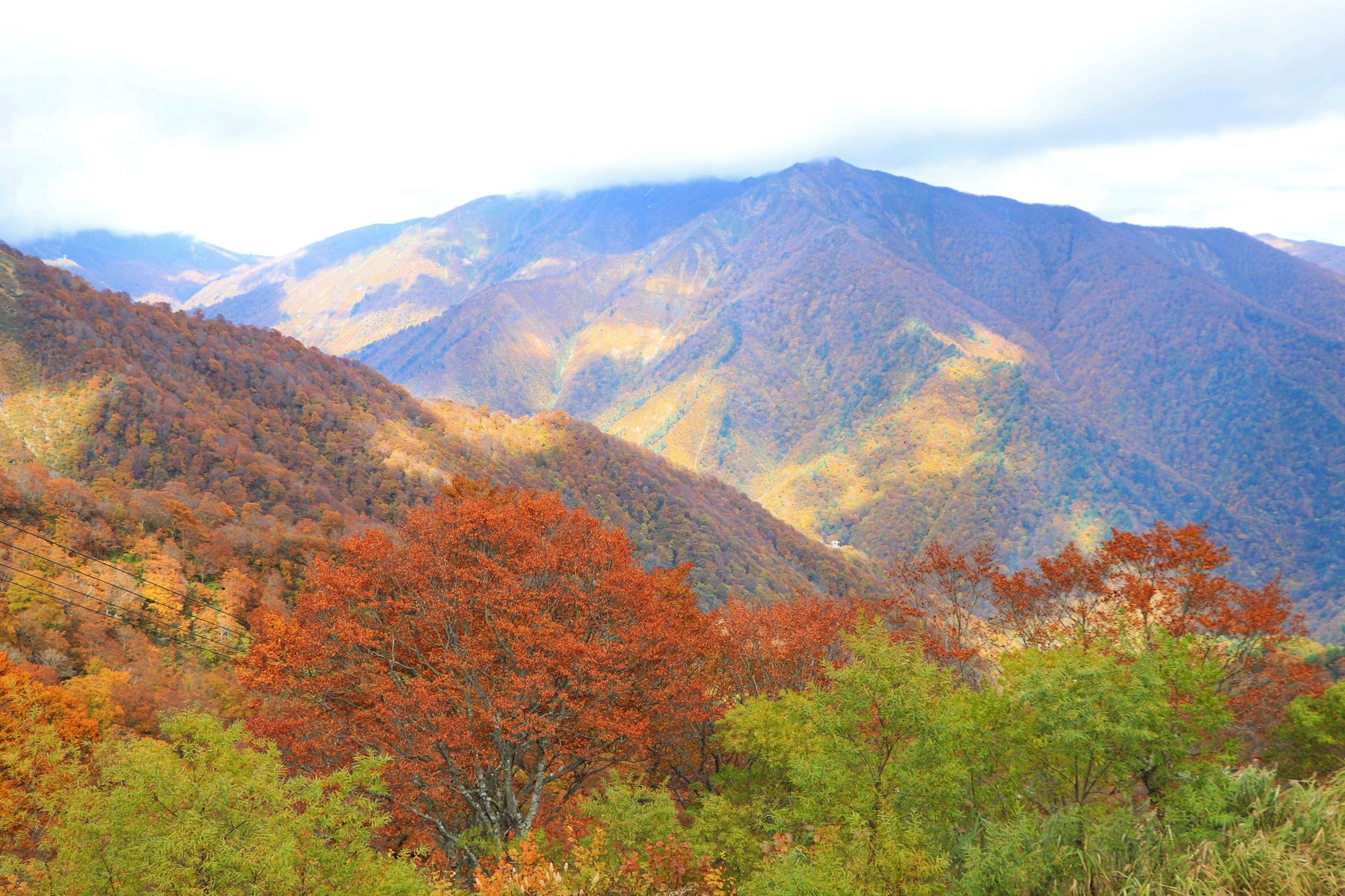 色とりどりの秋の山々の風景に青い空が広がる