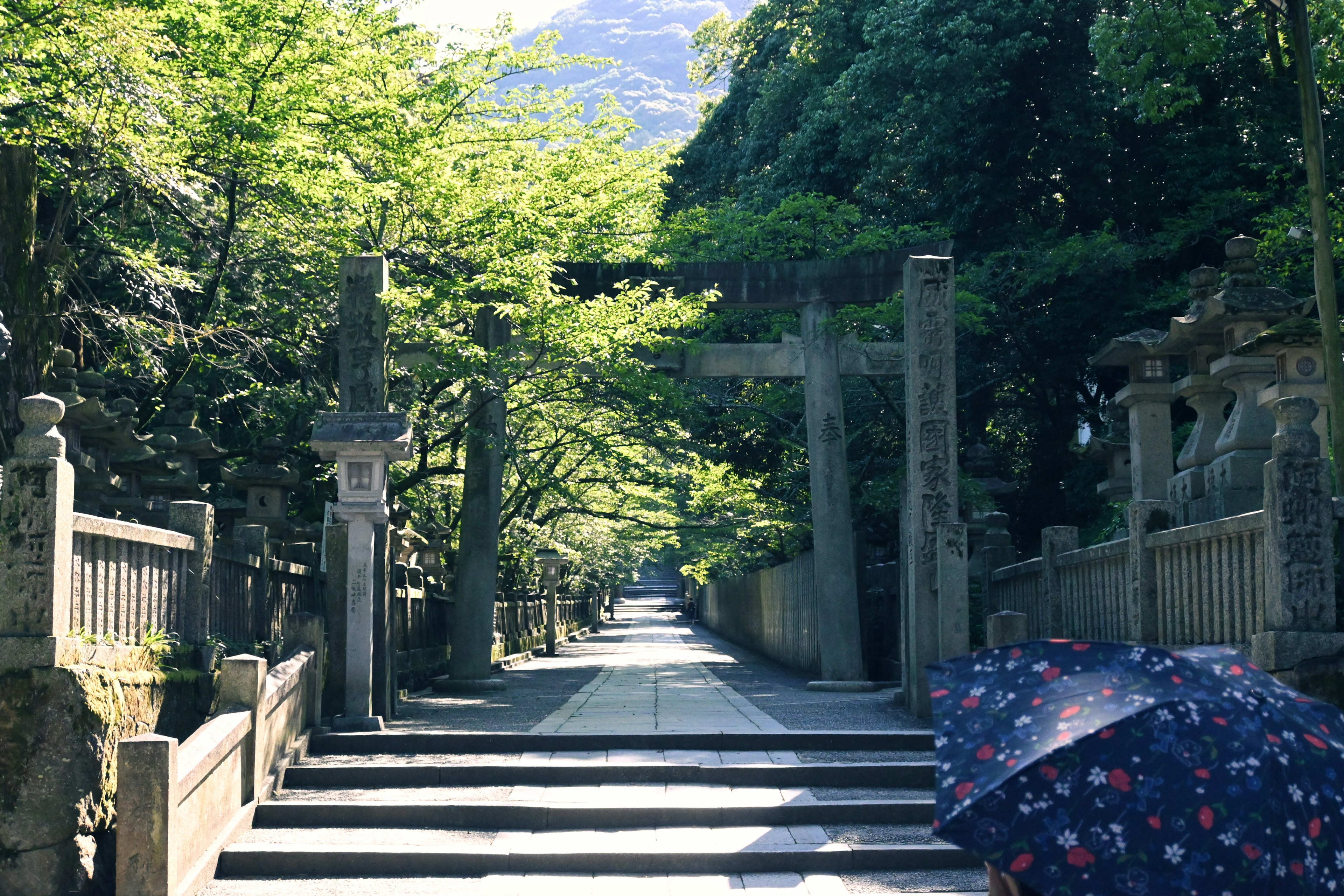 Malersicher Weg zu einem Schrein umgeben von üppigem Grün und steinernen Torii-Toren