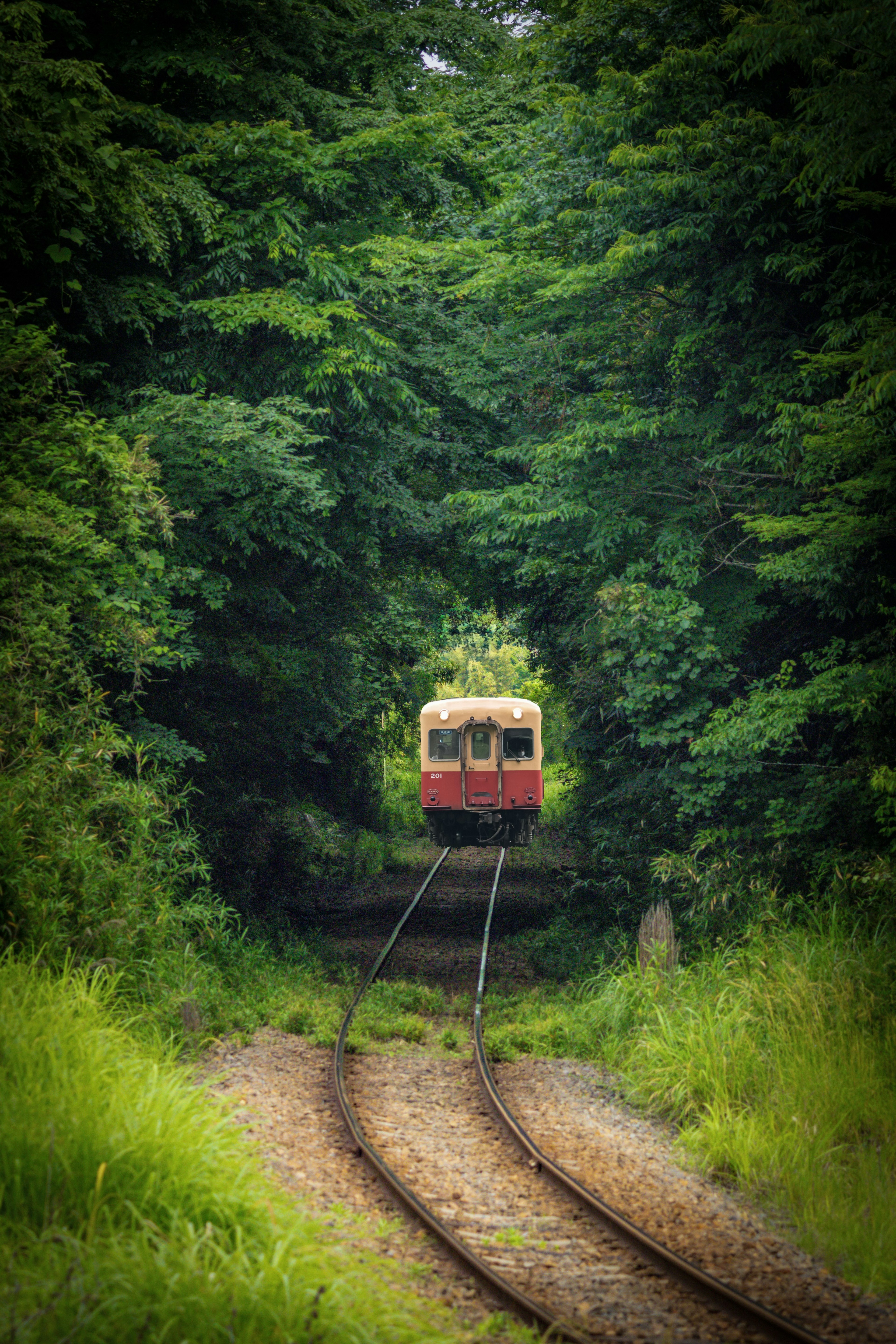 photo-HilL33dpwlNzJviYGyjA-image