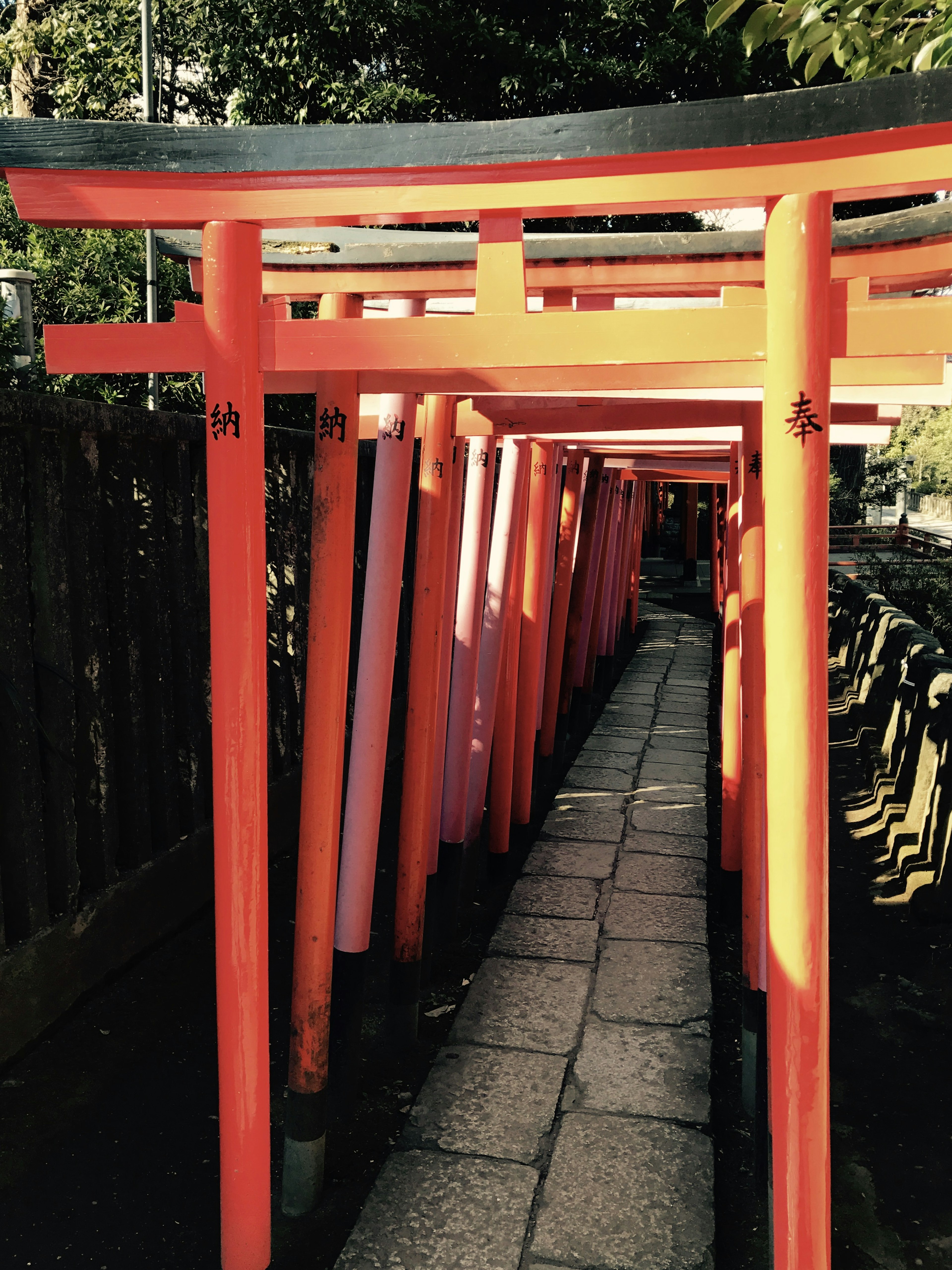 Sentier bordé de portes torii rouges vives