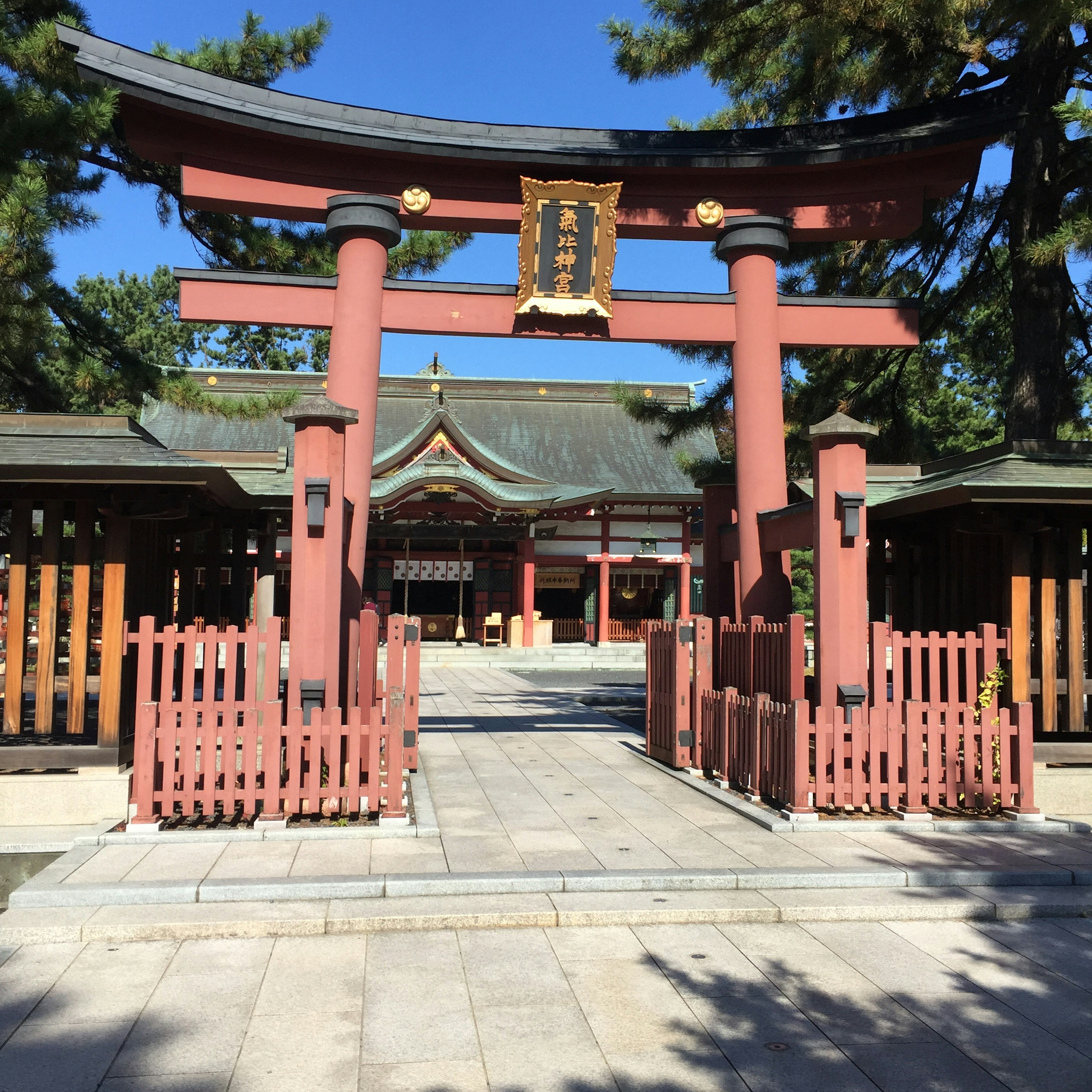 Schöne Aussicht auf ein rotes Torii und einen Schrein