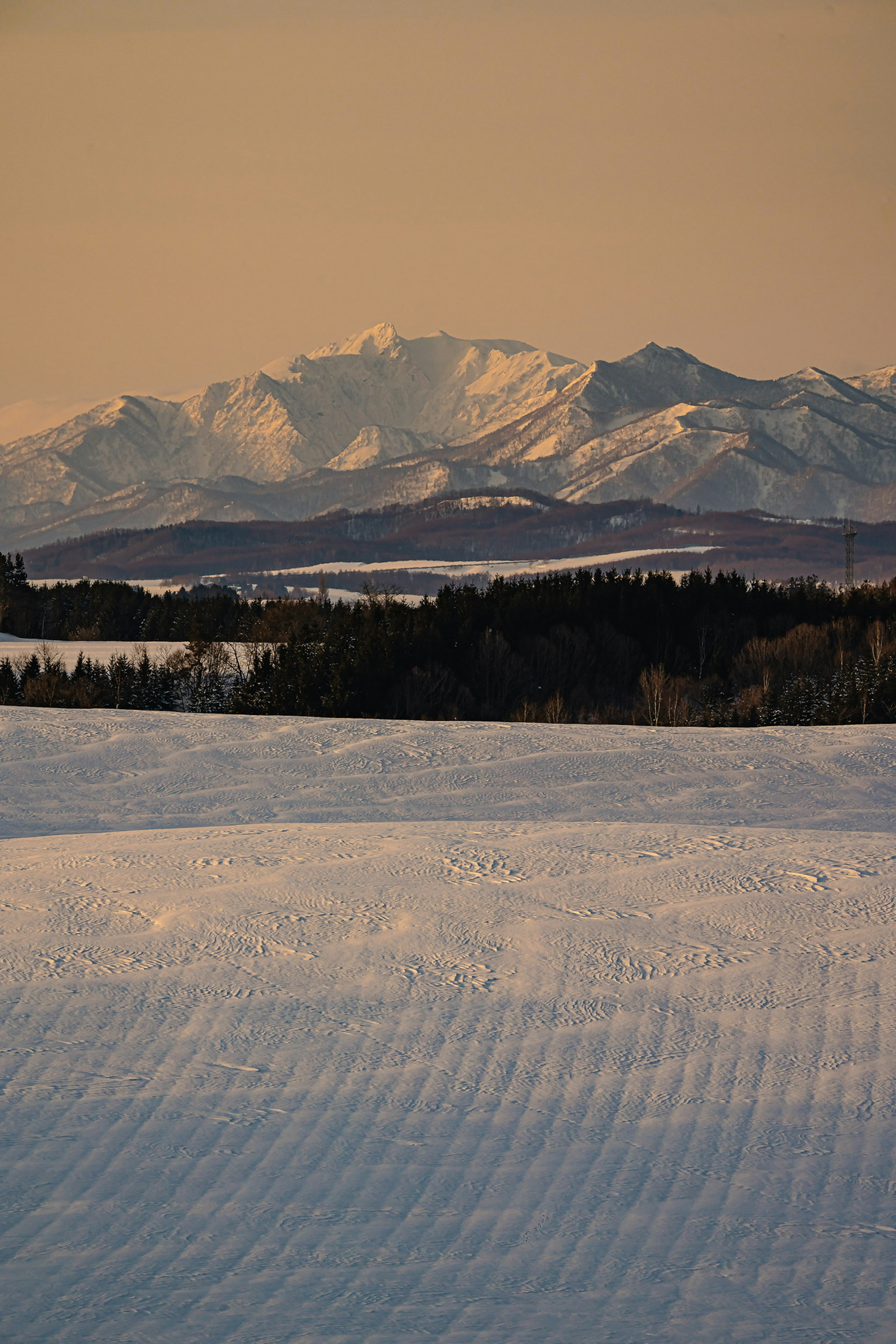 Paesaggio innevato con montagne lontane sullo sfondo