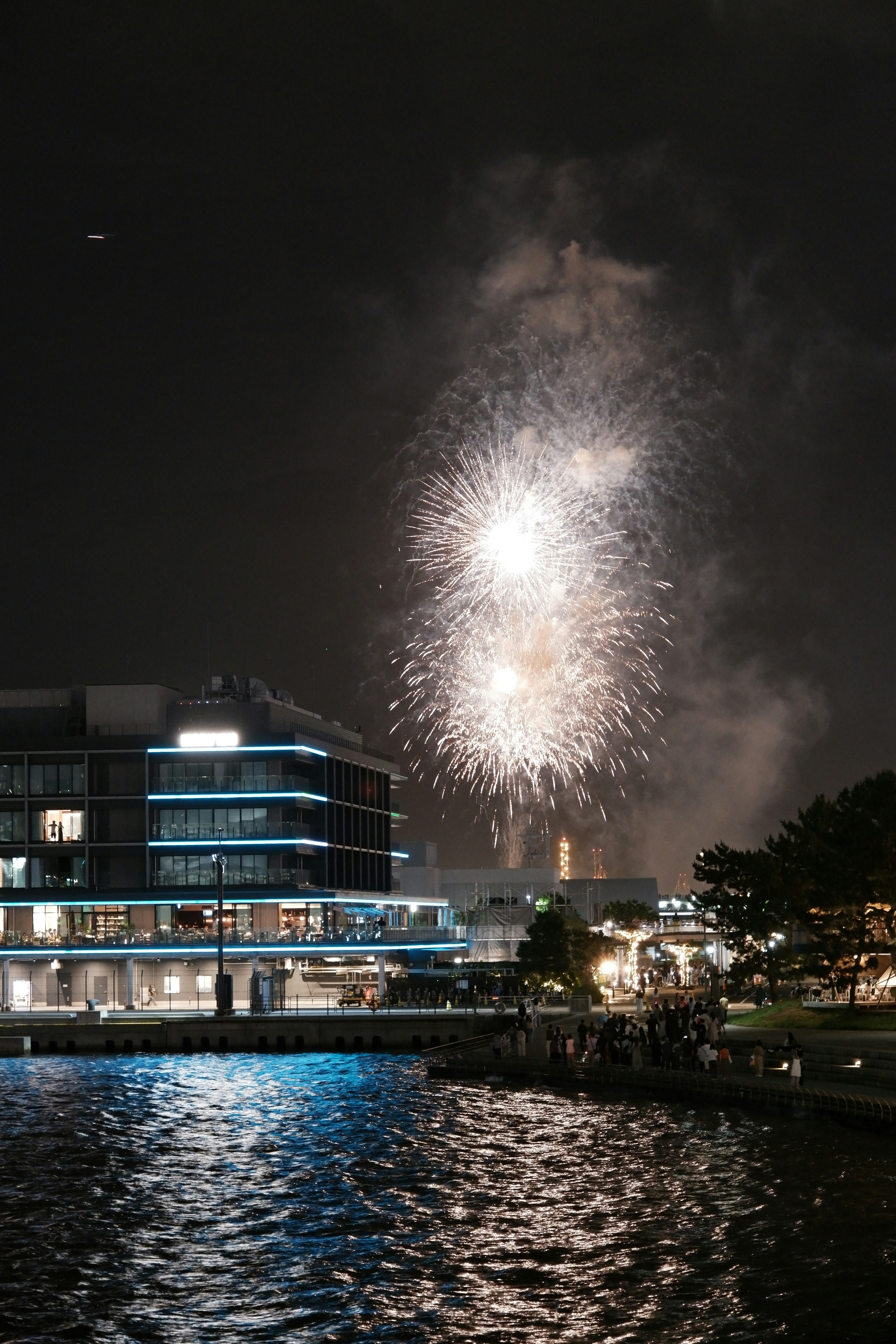 Fuochi d'artificio che illuminano il cielo notturno sopra un'area costiera con riflessi sull'acqua