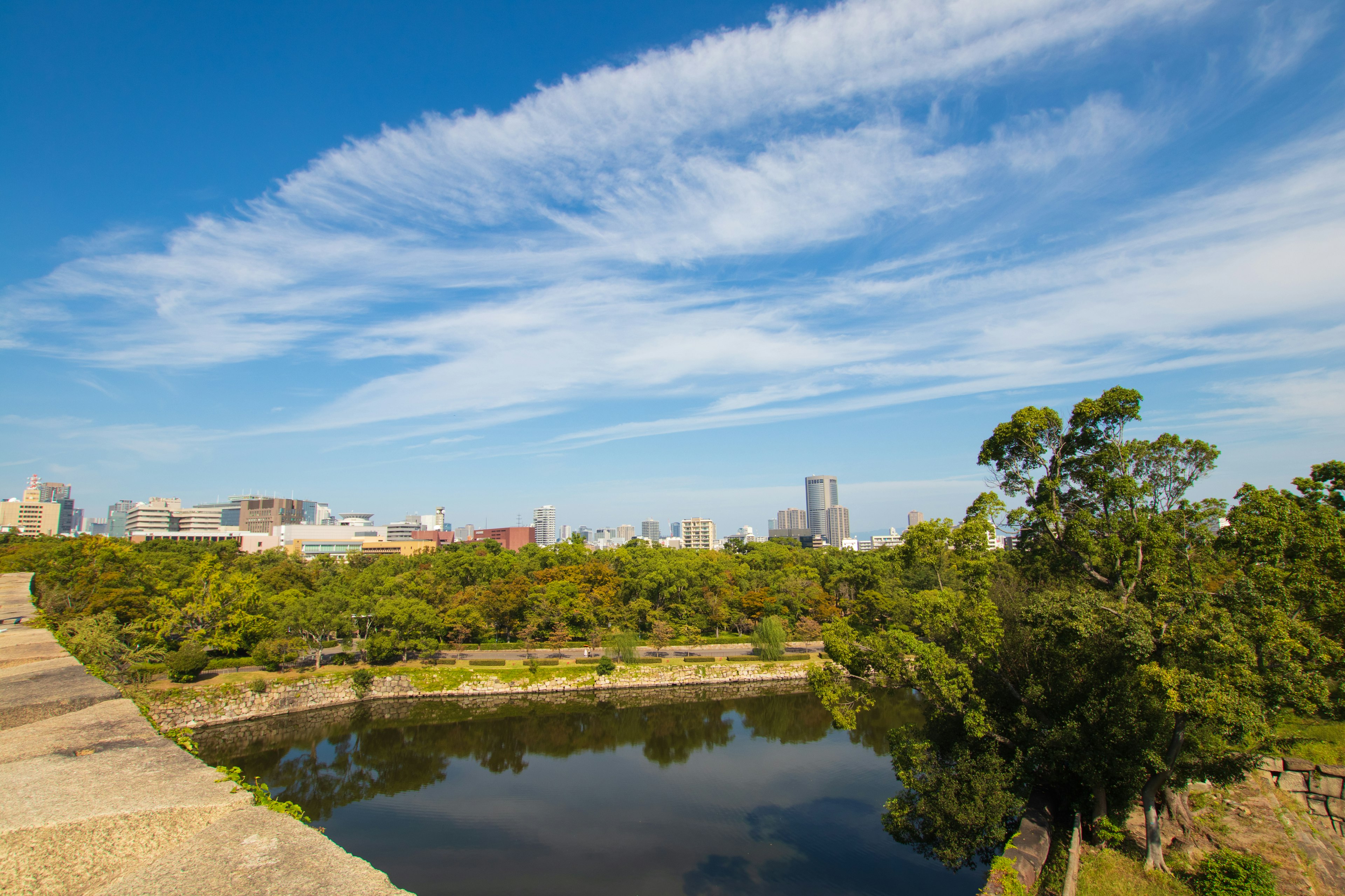 綠樹成蔭的公園和河流在藍天和白雲下的風景