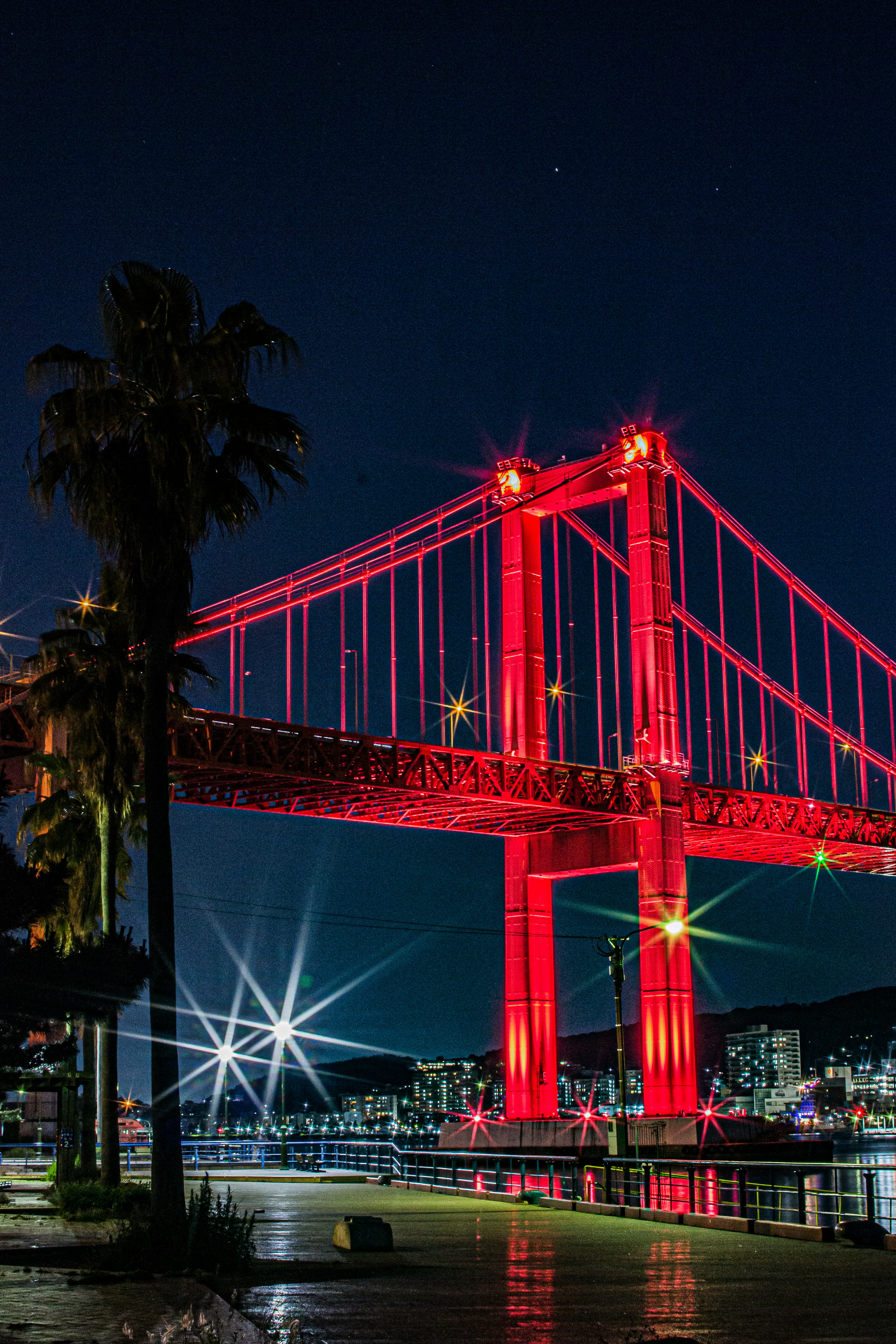 Bridge illuminated in red lights with surrounding scenery