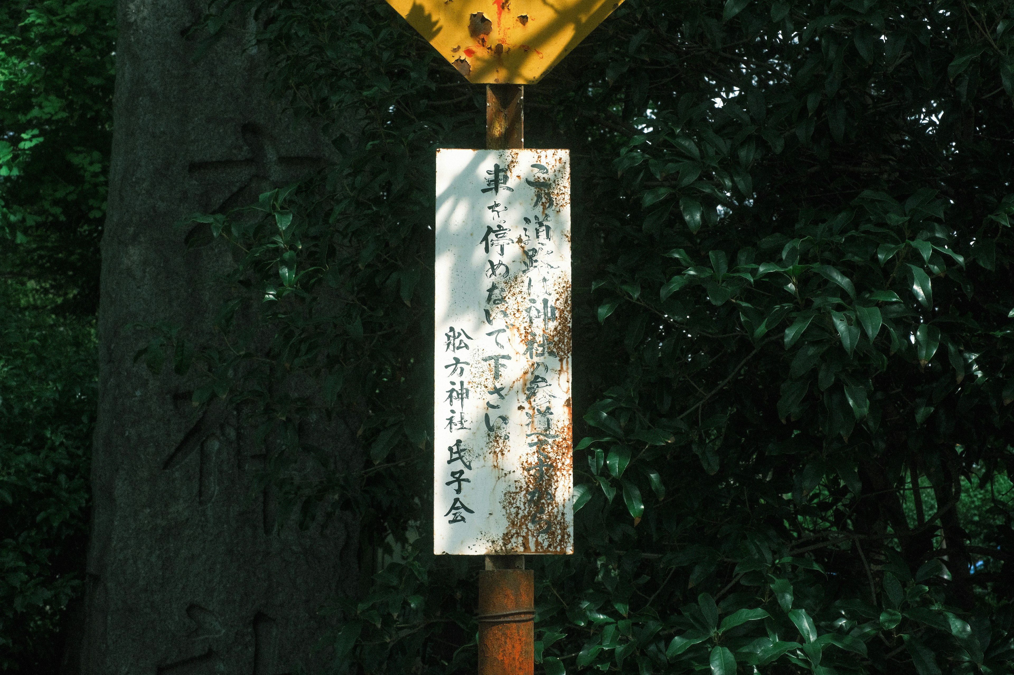 緑の背景の中に立つ標識の写真で、上部は黄色で下部は白い看板に文字が書かれている