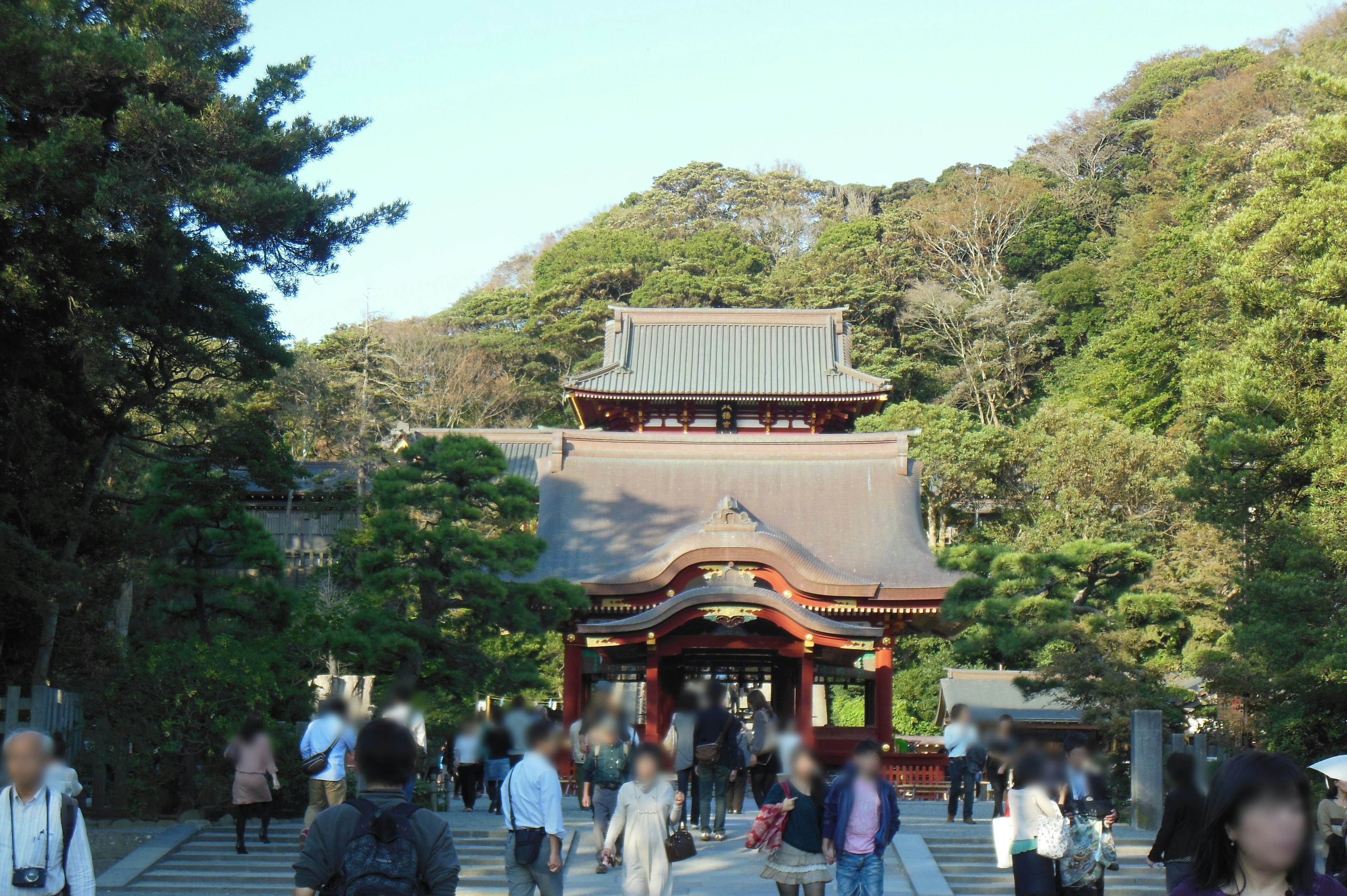 人们聚集在传统日本神社的入口，周围是郁郁葱葱的绿色植物