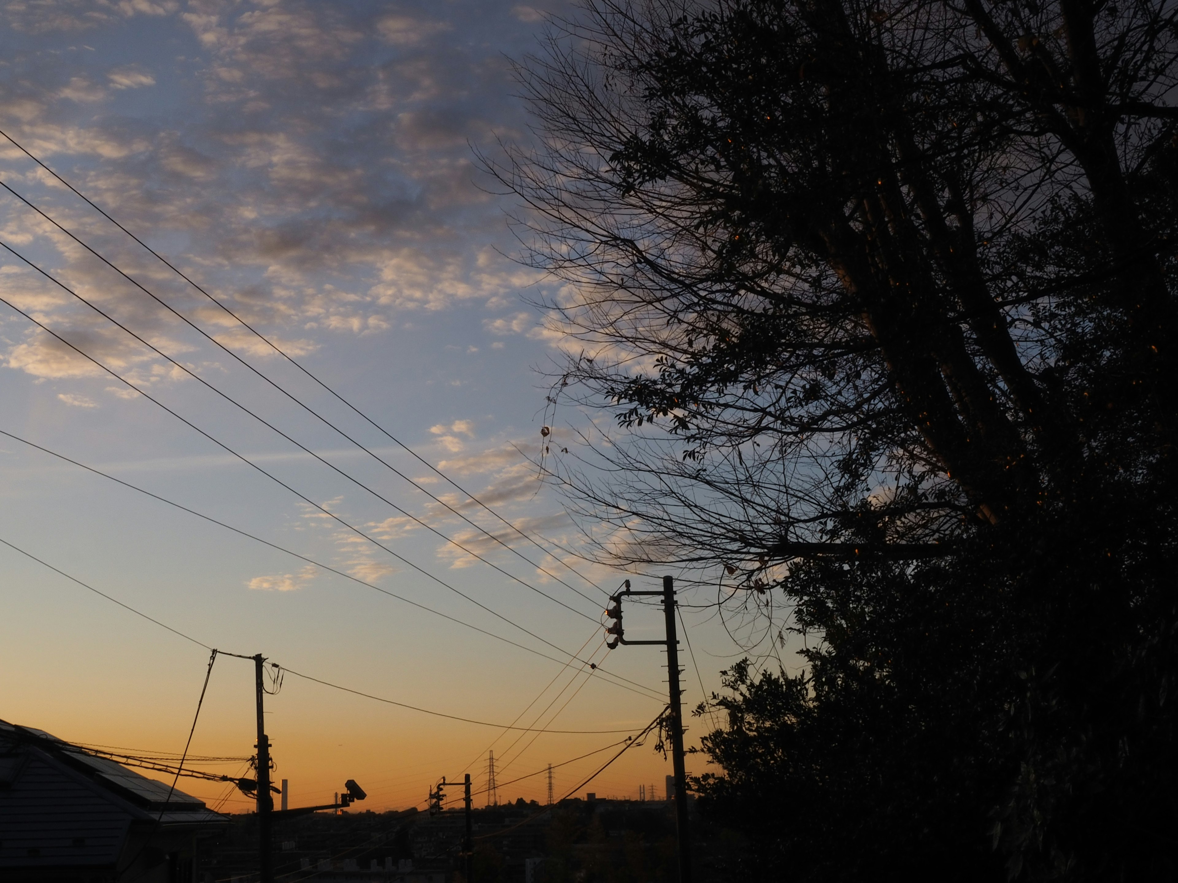 夕暮れ時の空に雲が広がる風景とシルエットの木々