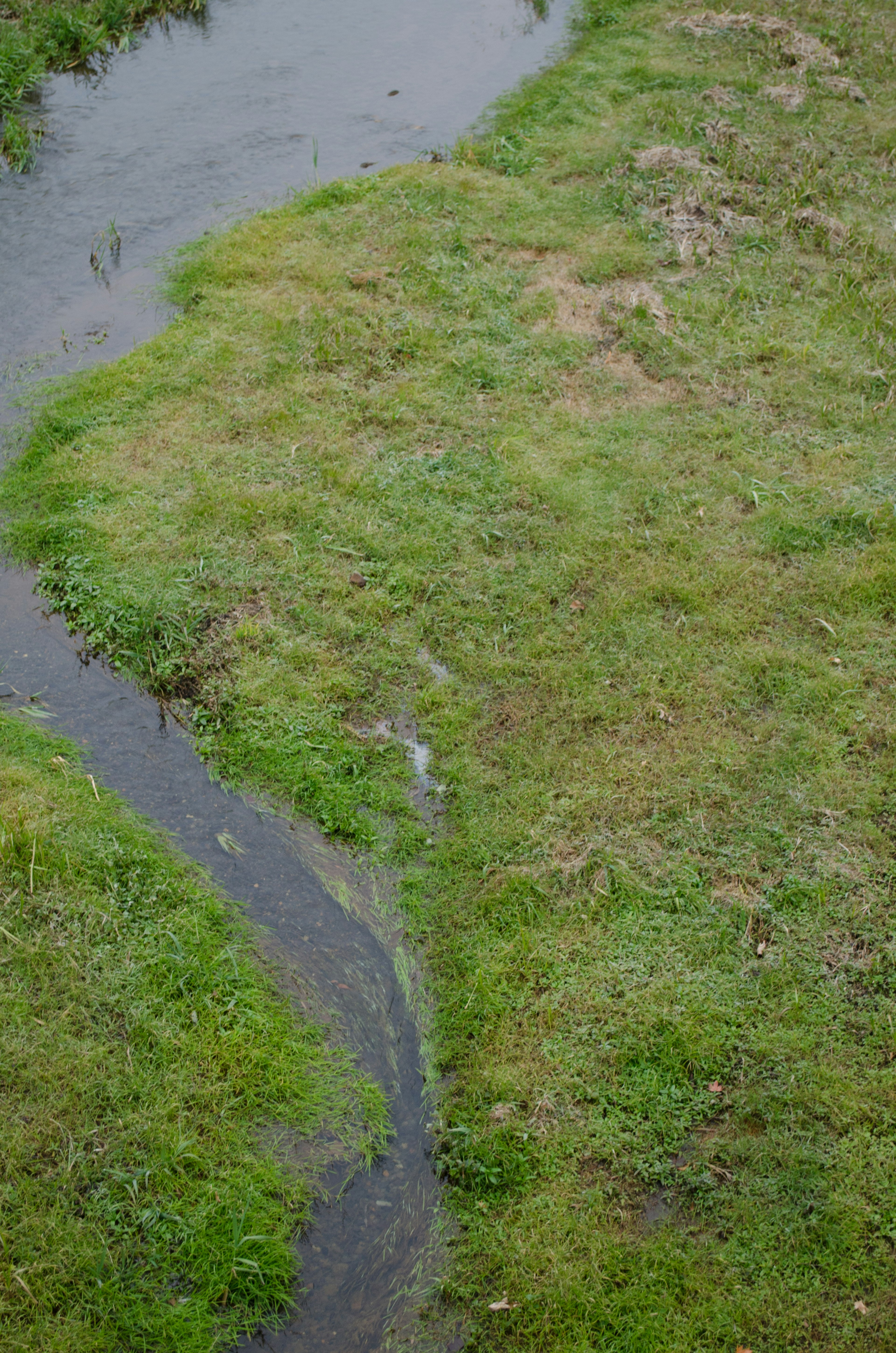 Vista aérea de un pequeño arroyo que serpentea a través de la hierba verde