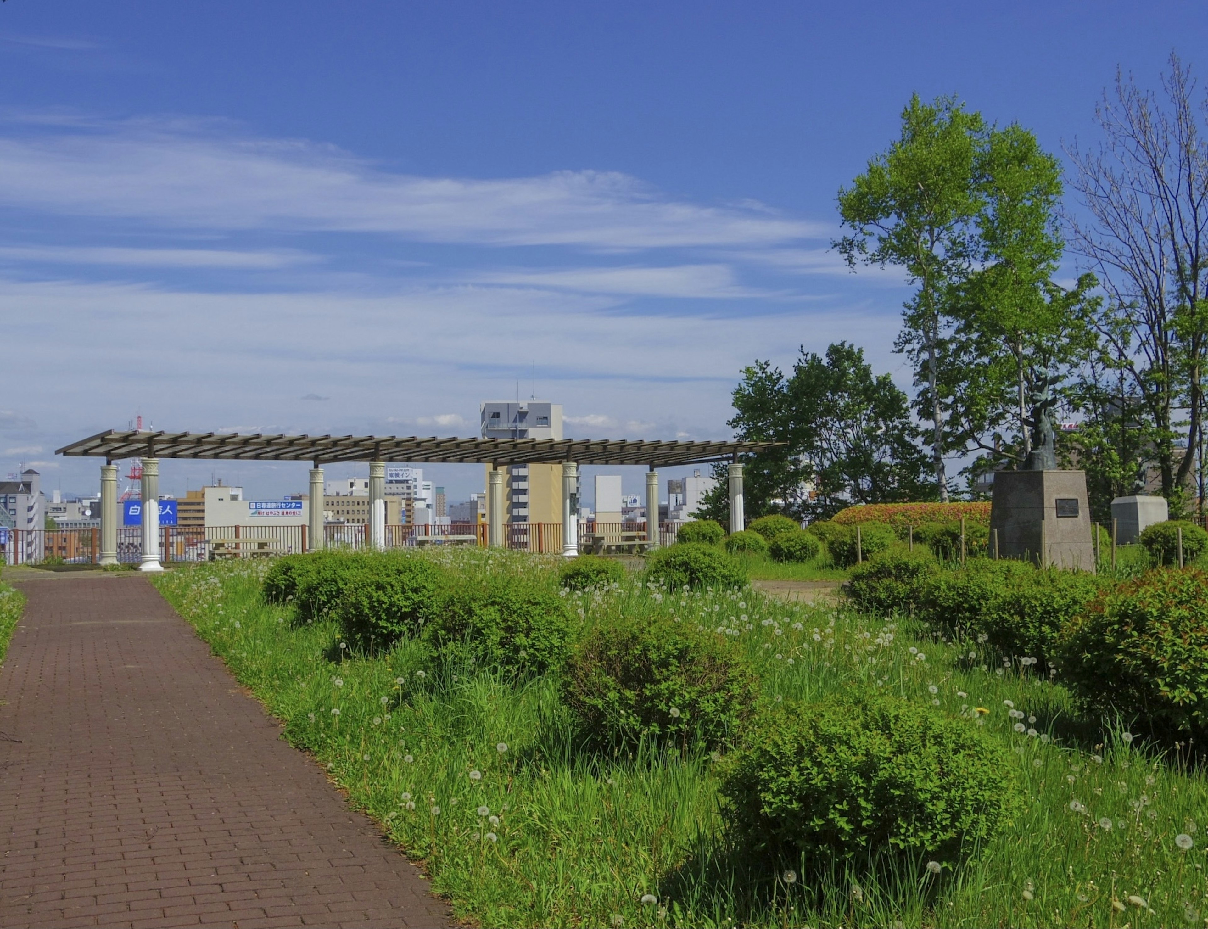 Park landscape under a blue sky with green grass and trees along a pathway