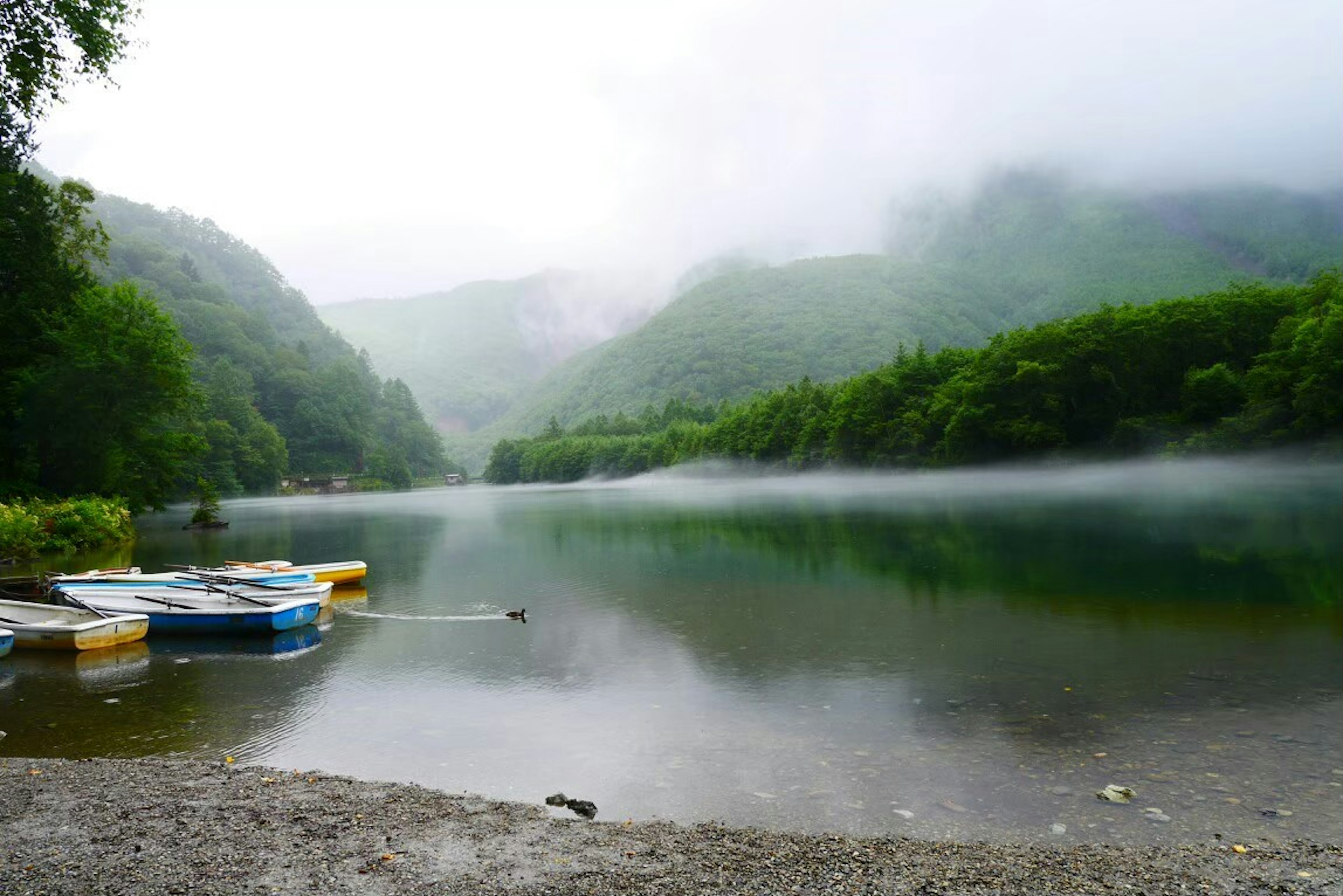 Ruhiger See umgeben von nebligen Bergen und üppigem Grün