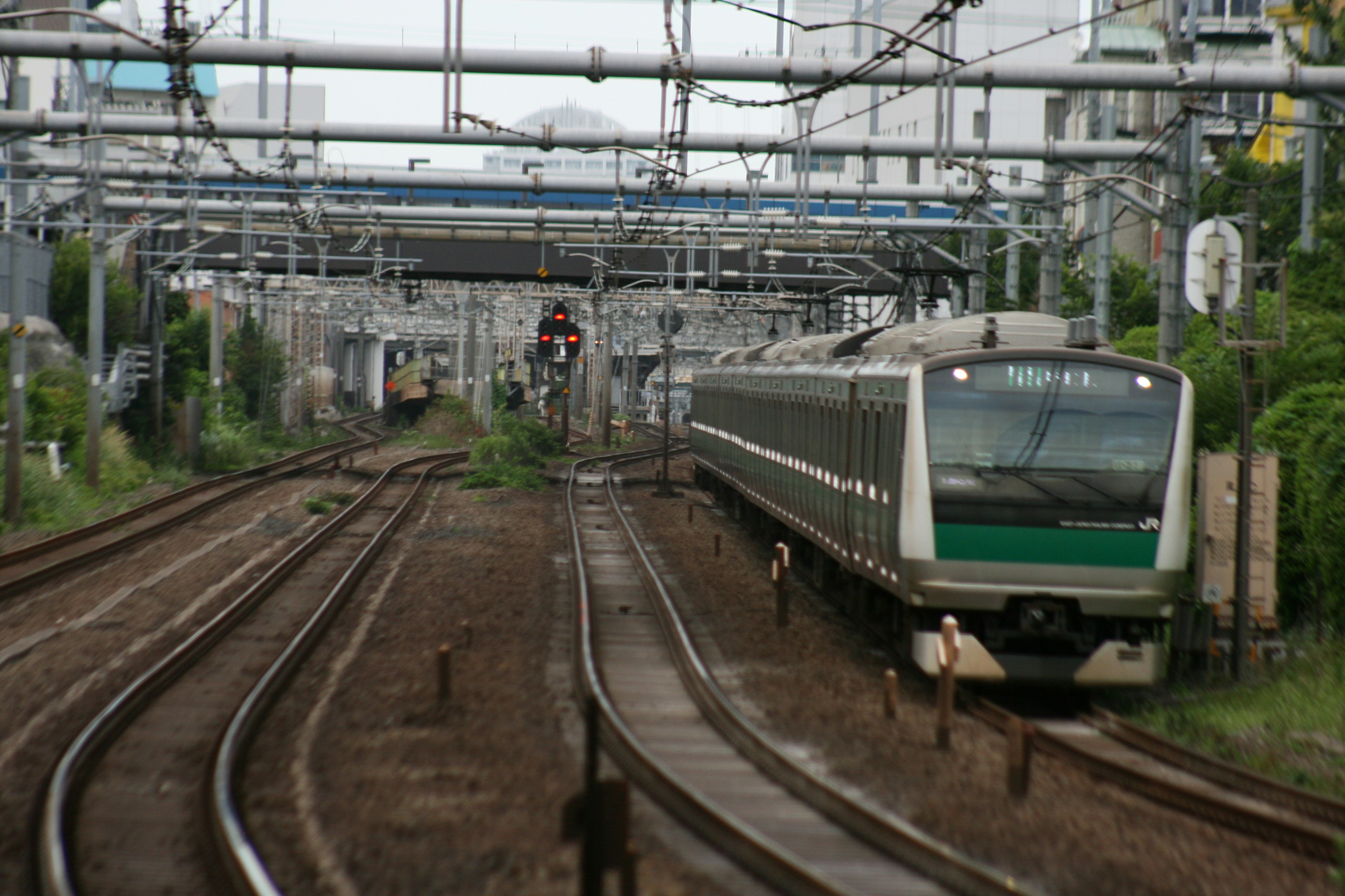 A green train traveling on tracks with surrounding greenery