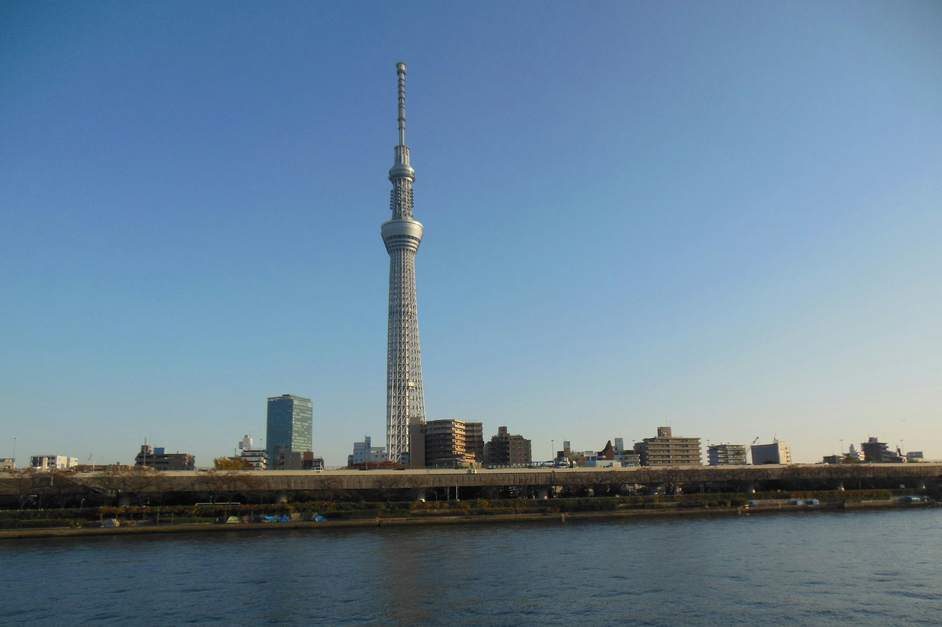 Cảnh Tokyo Skytree và dòng sông