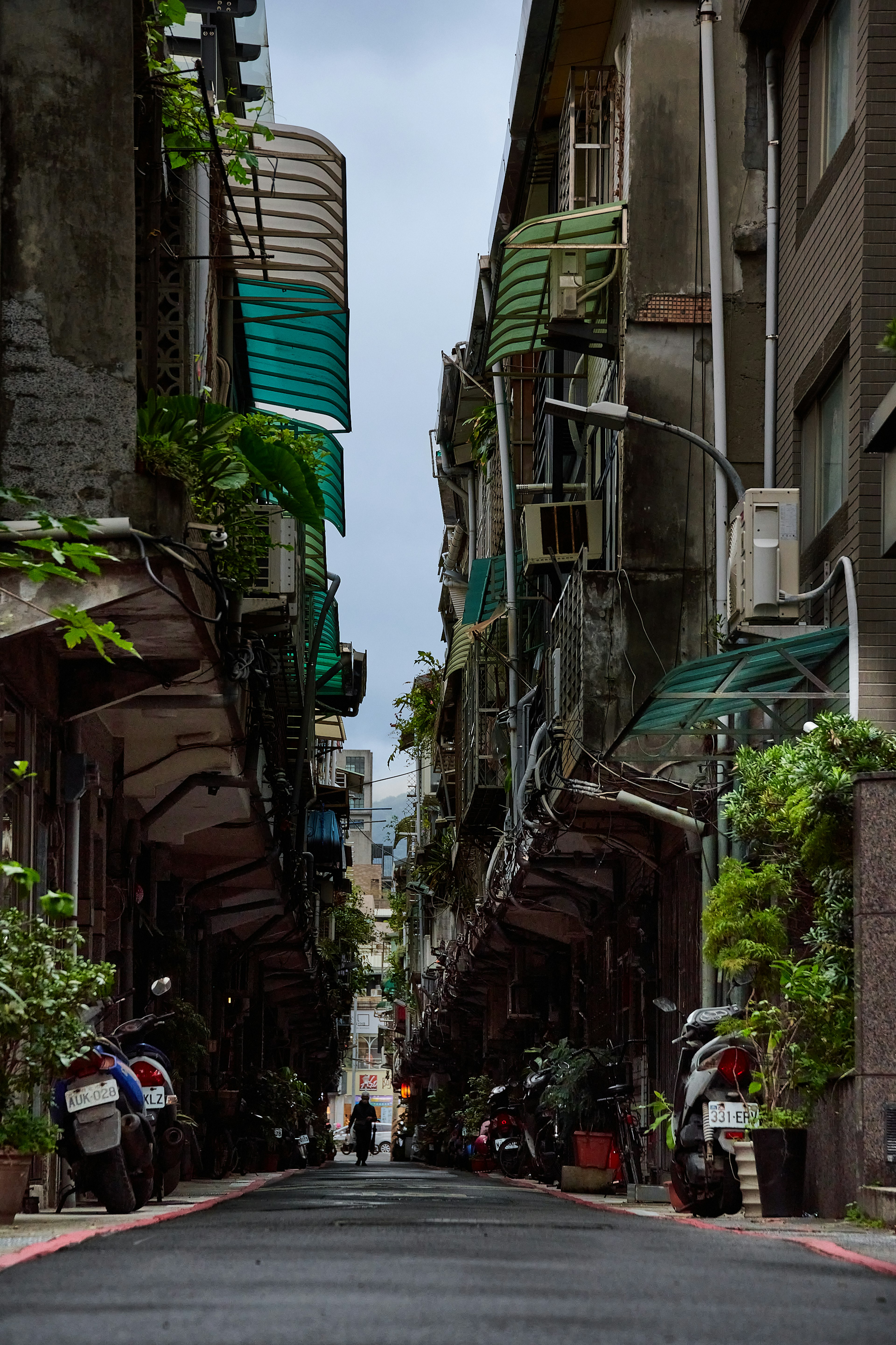 Escena de calle estrecha con vegetación y edificios que crean una atmósfera tranquila