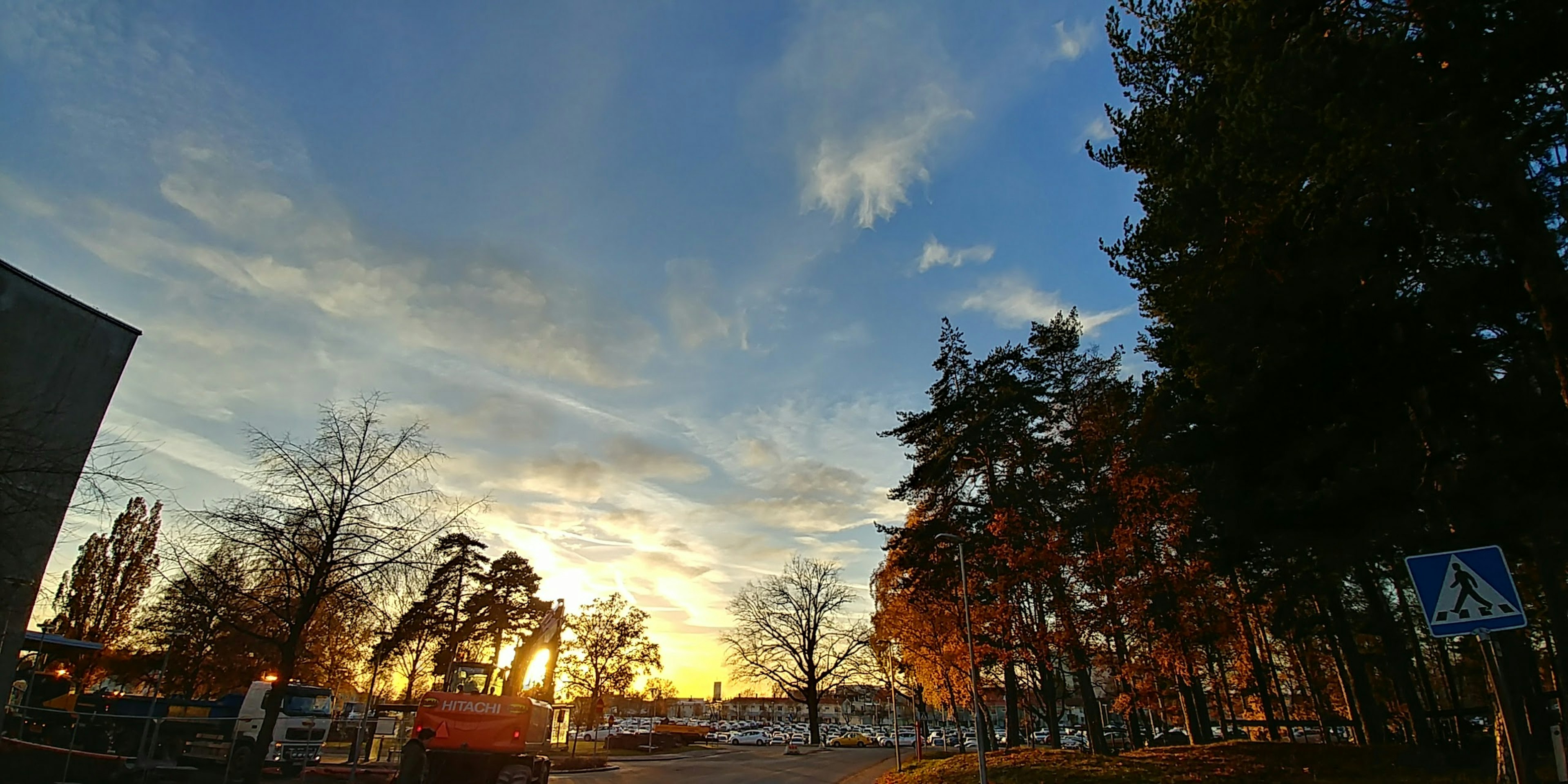 Vue pittoresque avec un ciel de coucher de soleil et des arbres