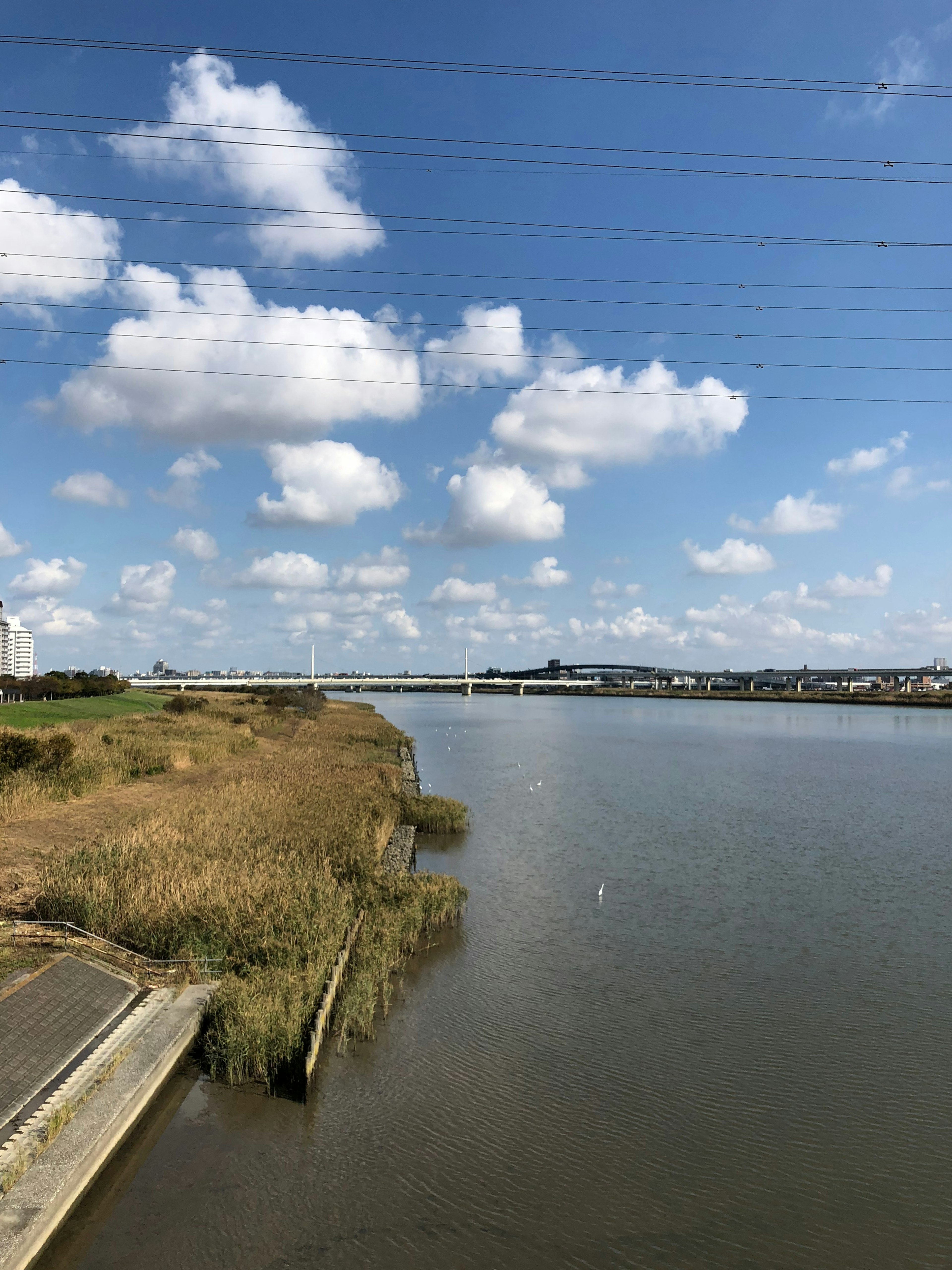 Pemandangan sungai dengan langit biru dan awan putih menampilkan jembatan dan rumput