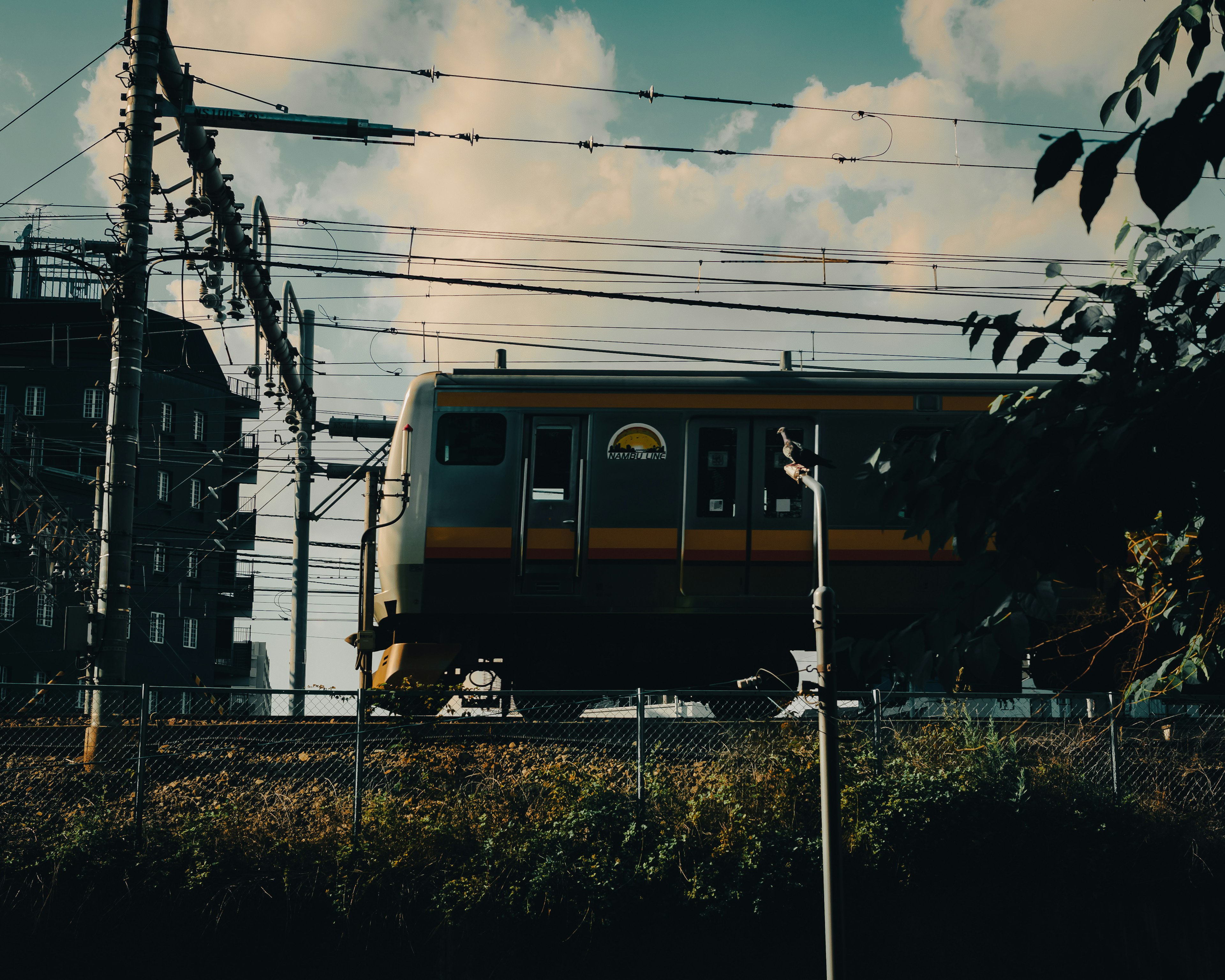 Tren pasando por vías elevadas con cielo azul