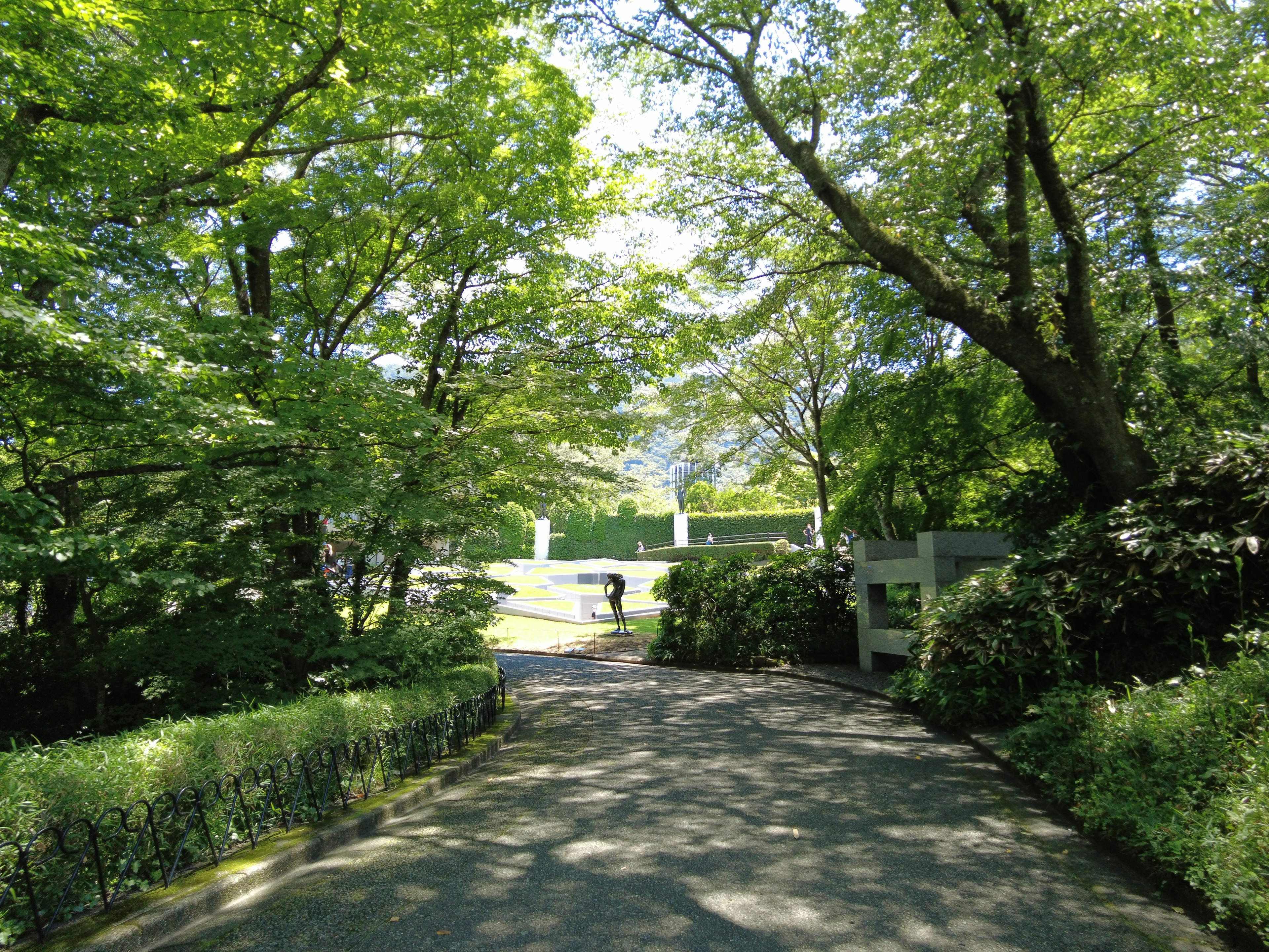 A pathway surrounded by lush green trees leading to a park