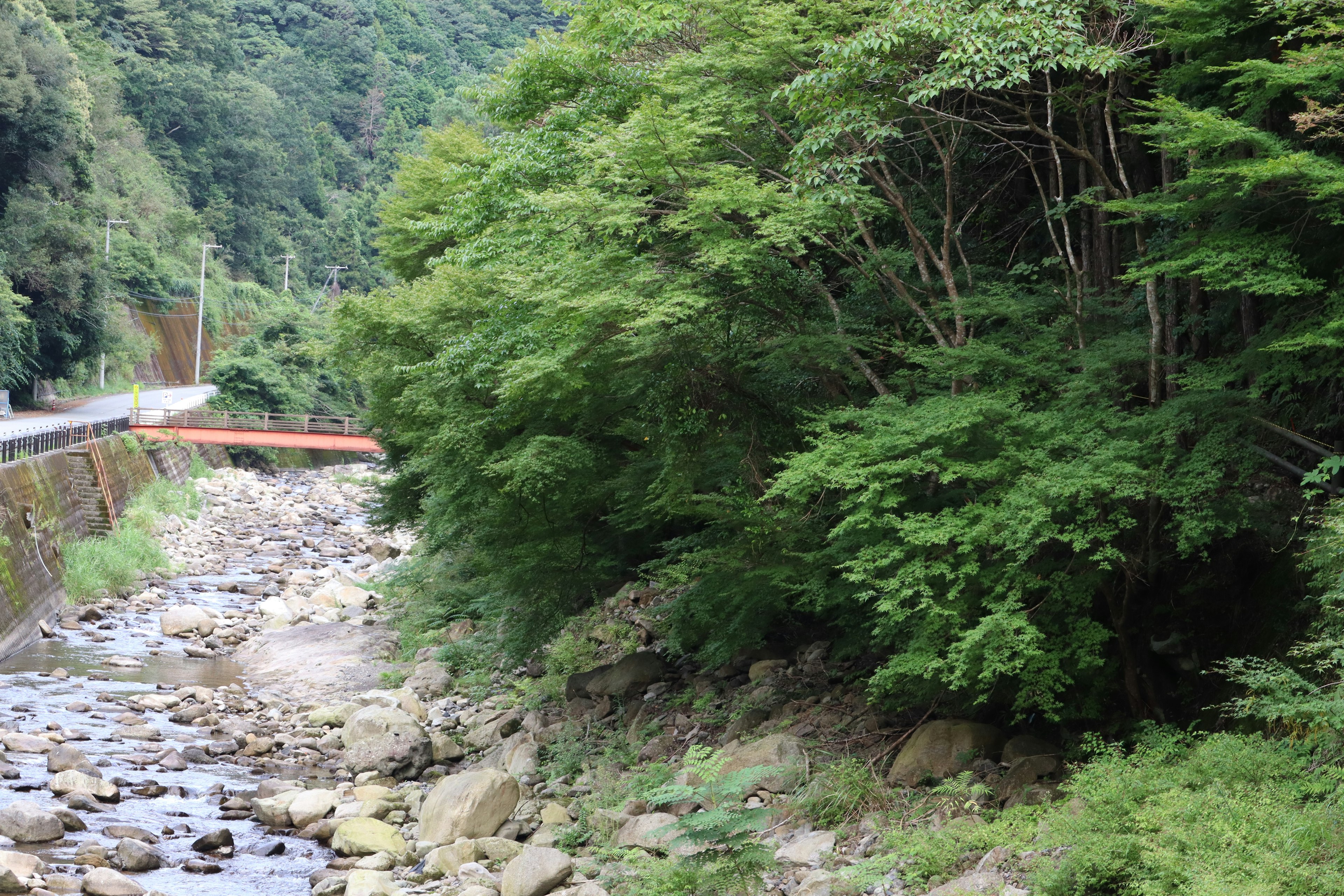 Vista escénica de un arroyo flanqueado por árboles verdes exuberantes y un puente rojo