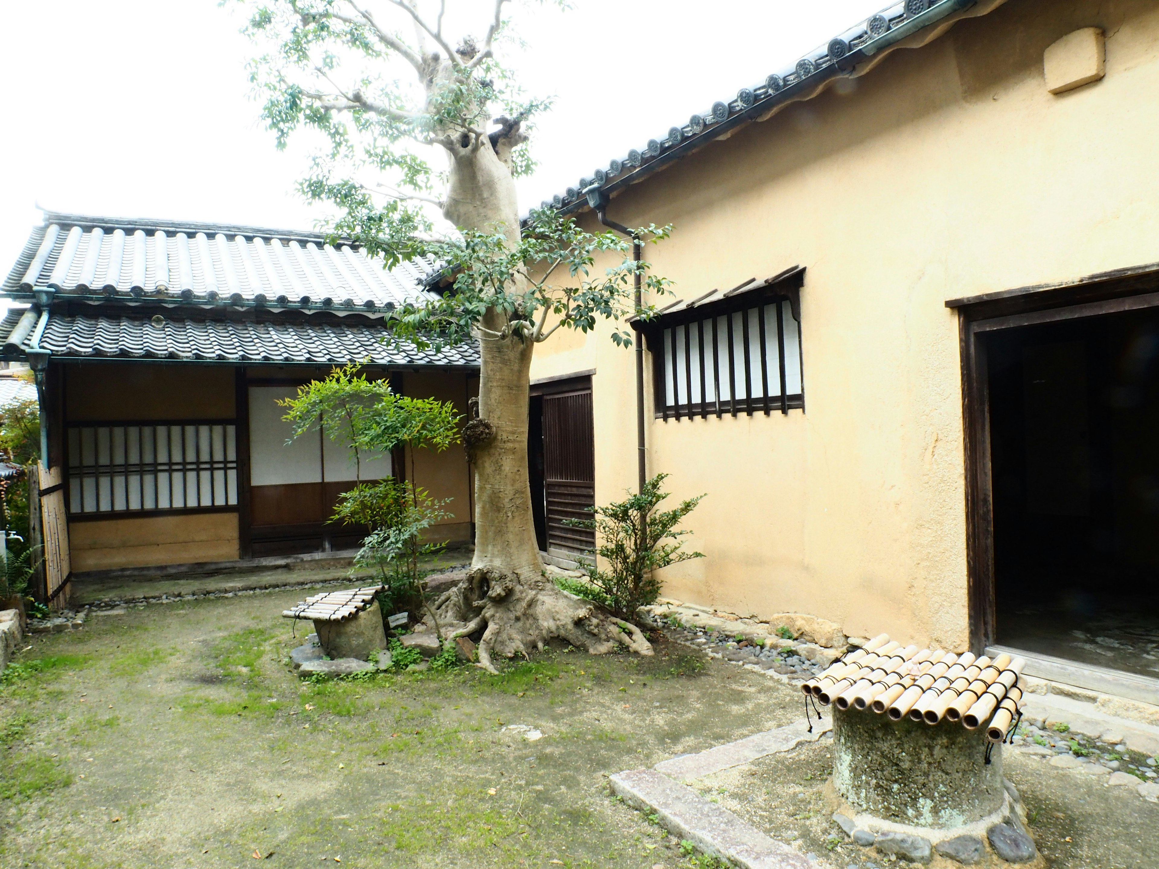 Patio de una casa japonesa tradicional con árboles y banco de piedra