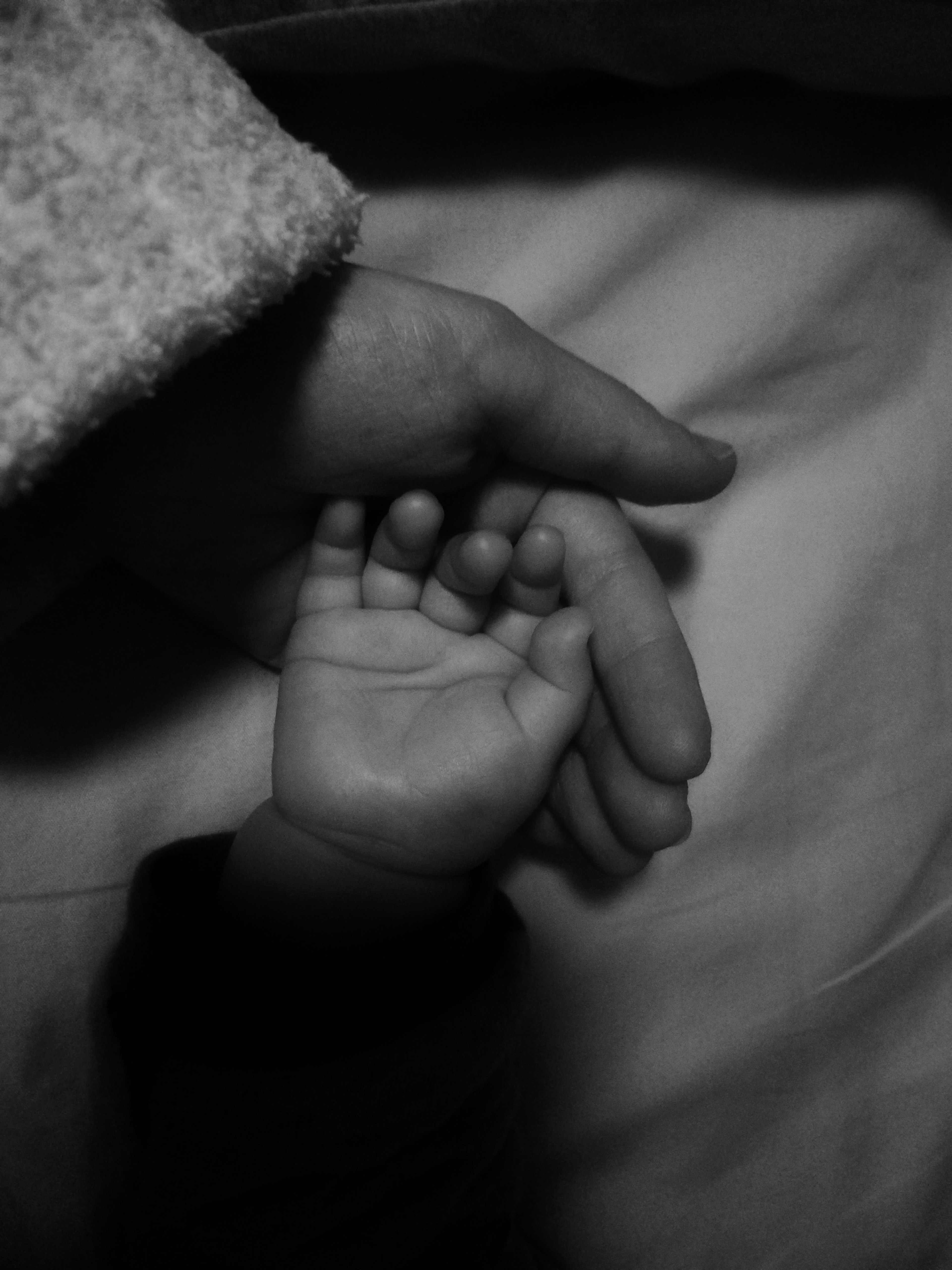 A black and white image of a baby hand and an adult hand intertwined