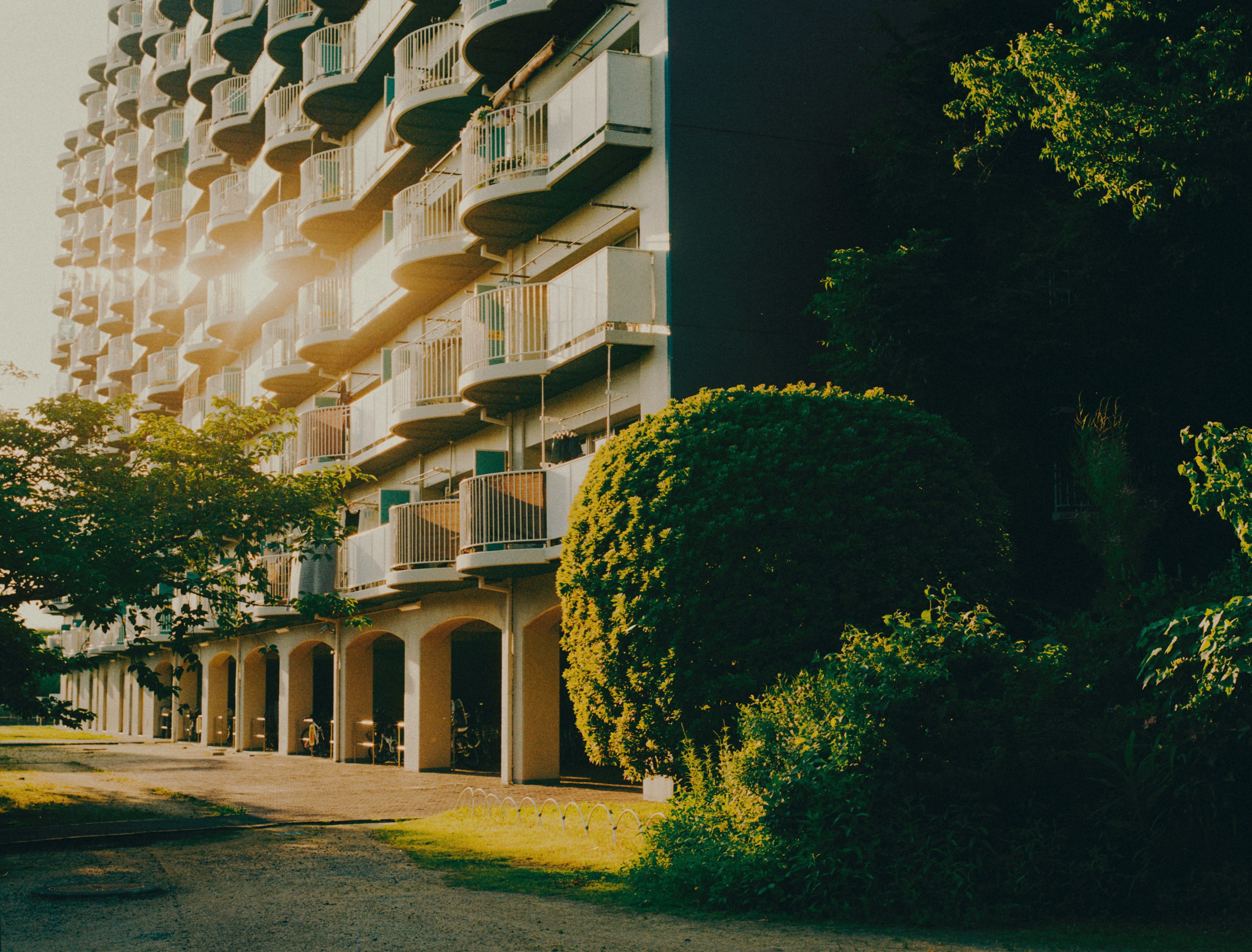 Vue du soir d'un bâtiment moderne avec verdure luxuriante et balcons