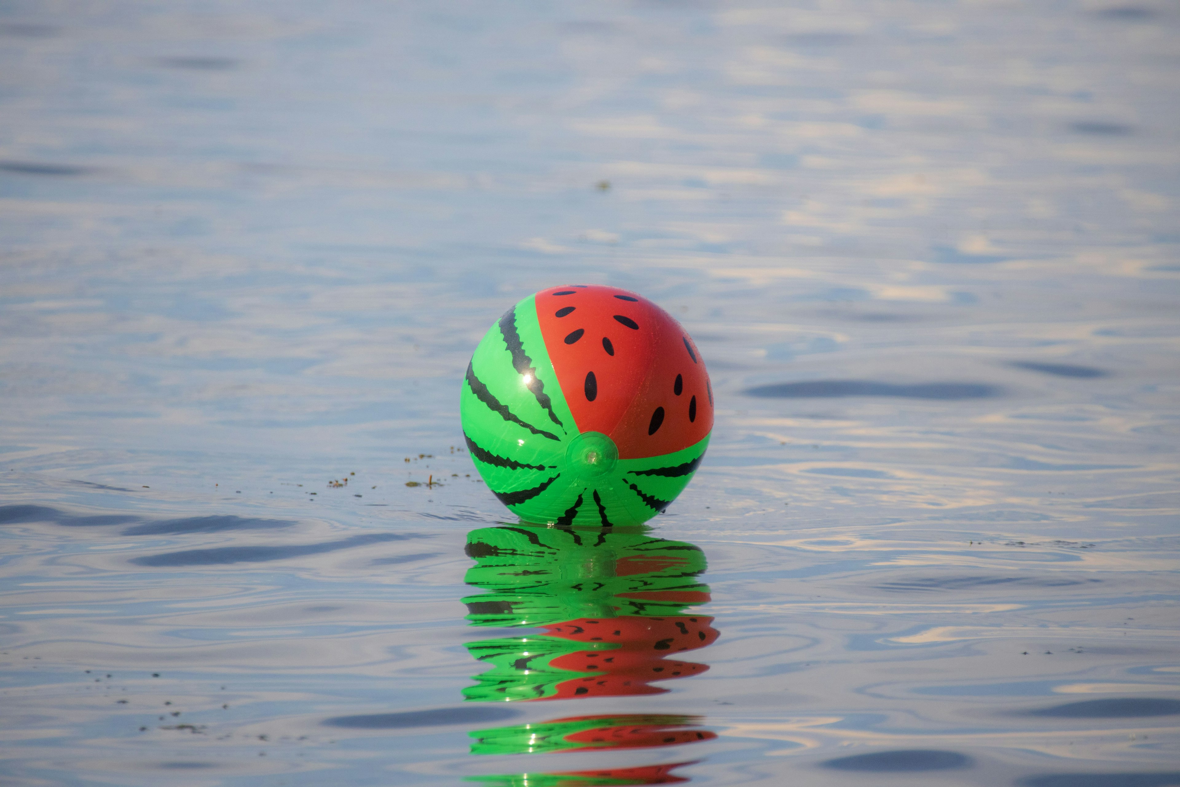 Une balle à motif de pastèque flottant sur l'eau