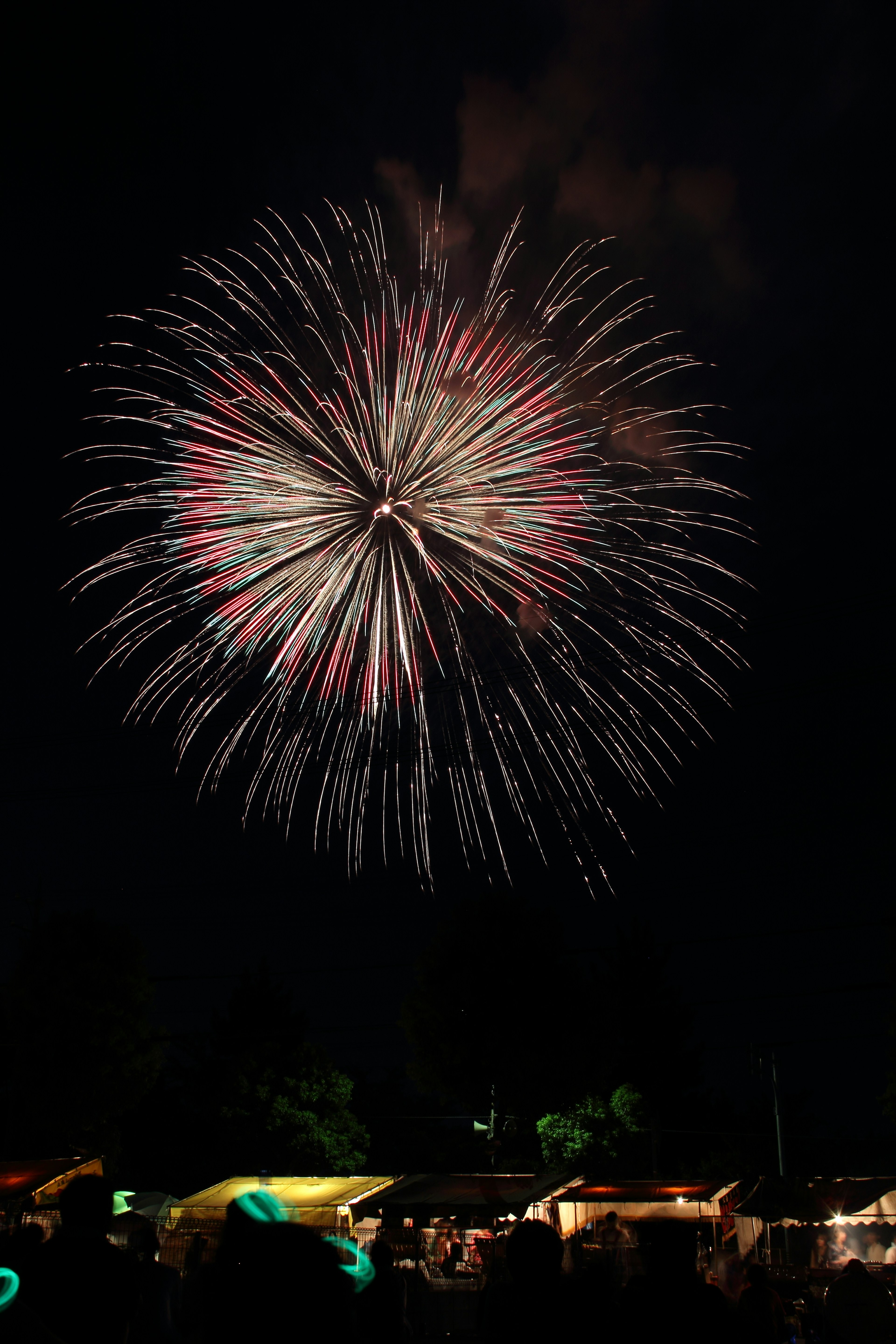 Spettacolo di fuochi d'artificio vibranti che illuminano il cielo notturno