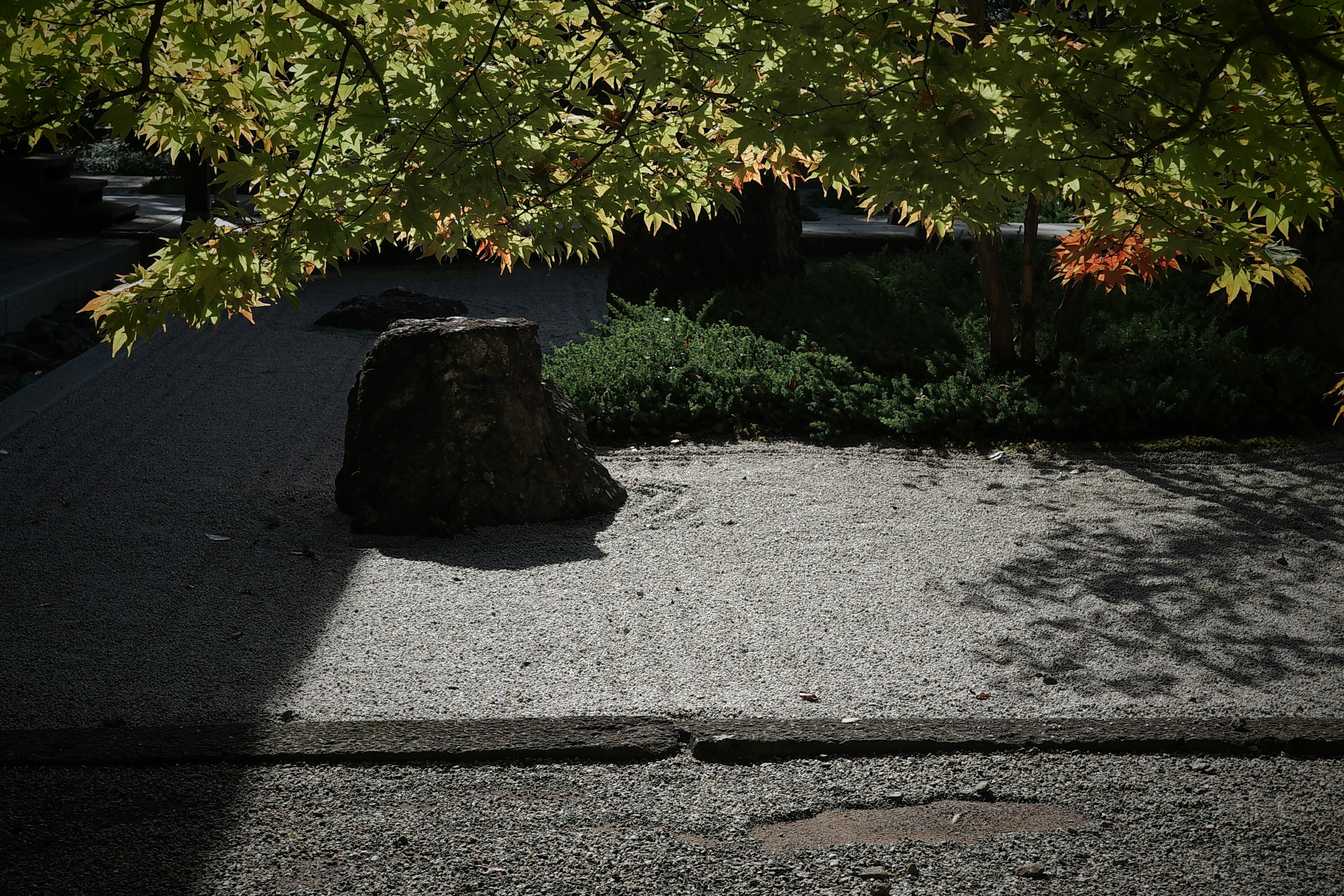 Una piedra sombreada por hojas verdes en un camino de grava clara