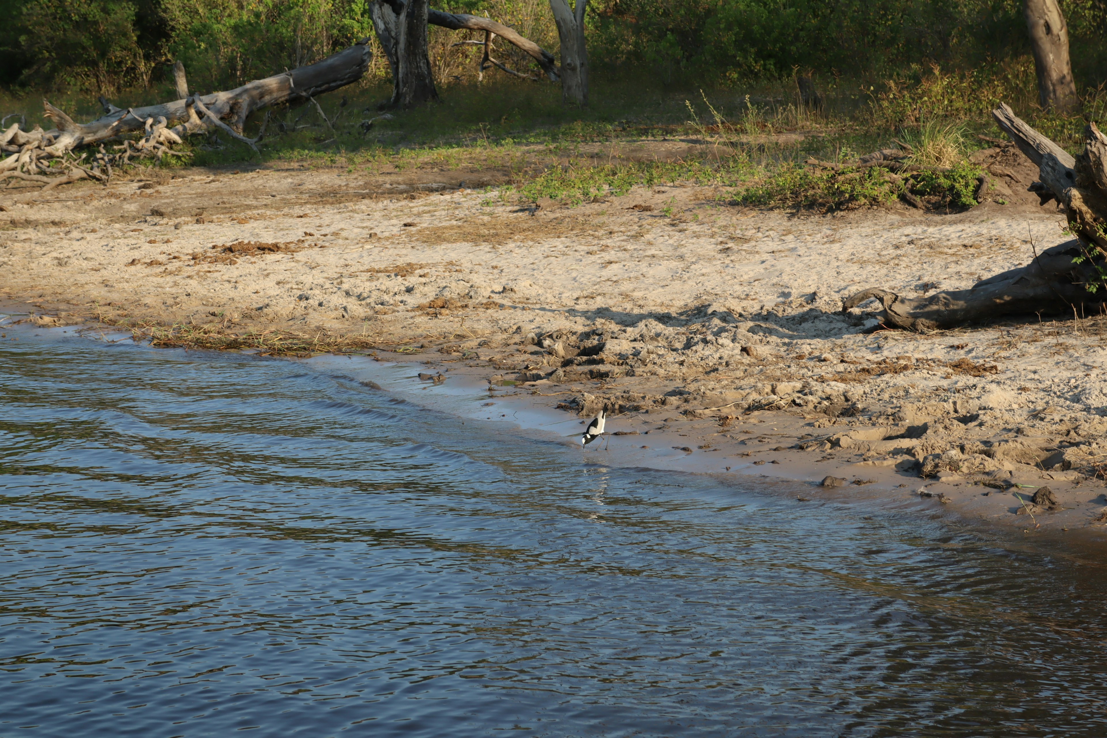 Scenic view of a riverbank with sandy shore and water surface