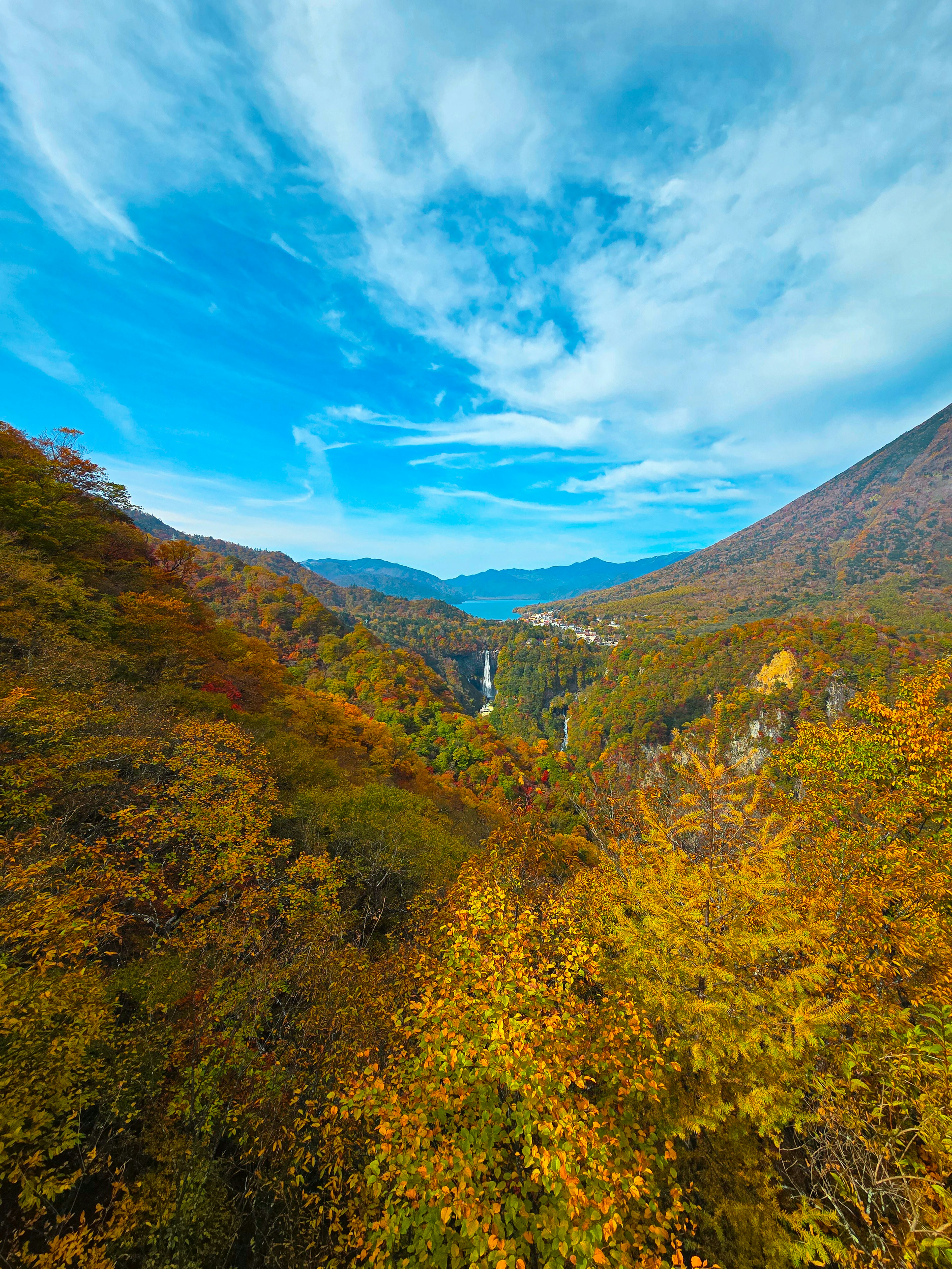 秋の紅葉に包まれた山の谷と滝の風景