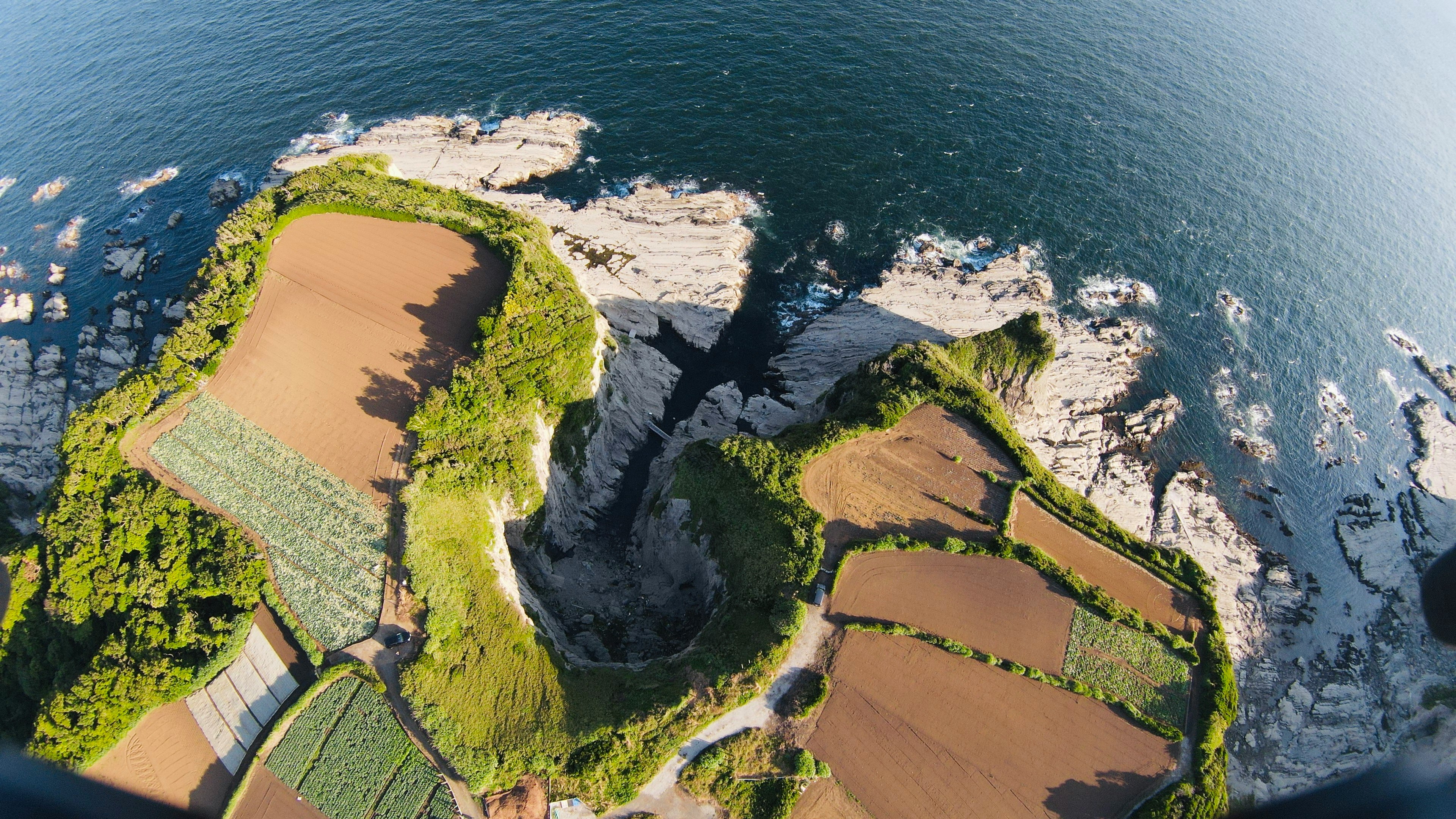 Vista aerea di bellissimi campi terrazzati e costa rocciosa sul mare