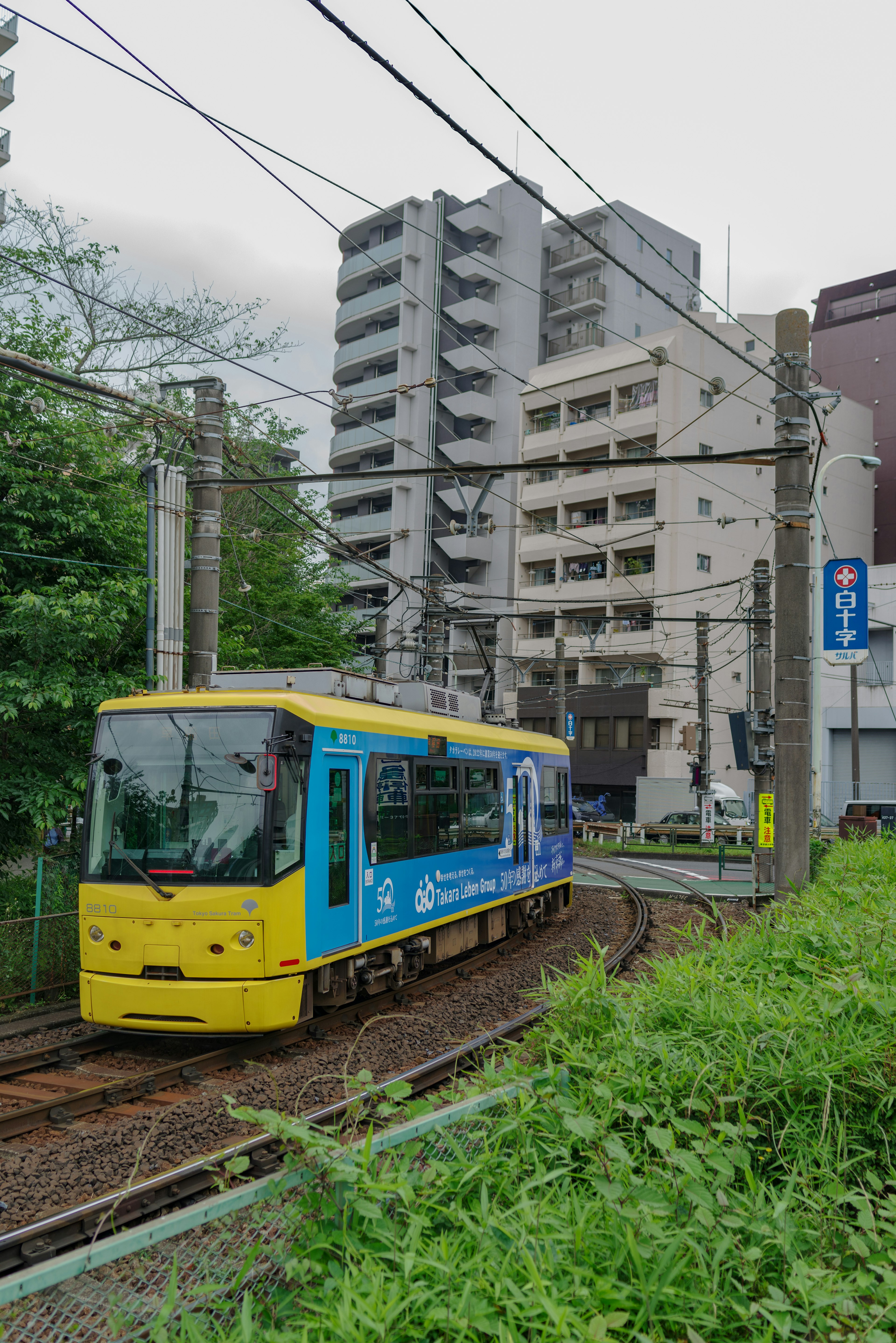 一輛黃色和藍色的電車穿過郁郁蔥蔥的綠地和一棟高樓