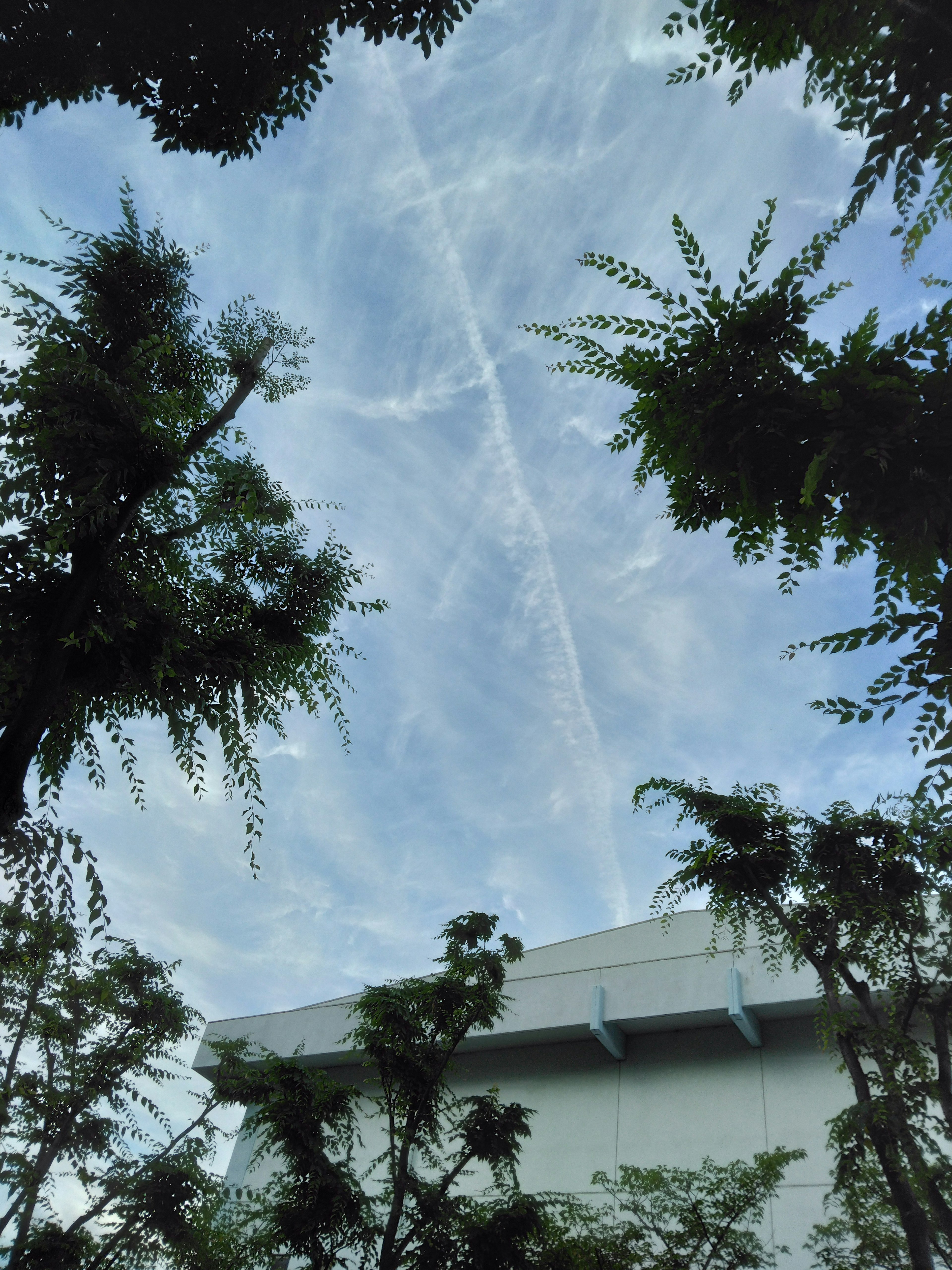 青空に白い雲と飛行機雲が見える風景 木々が周囲に茂っている