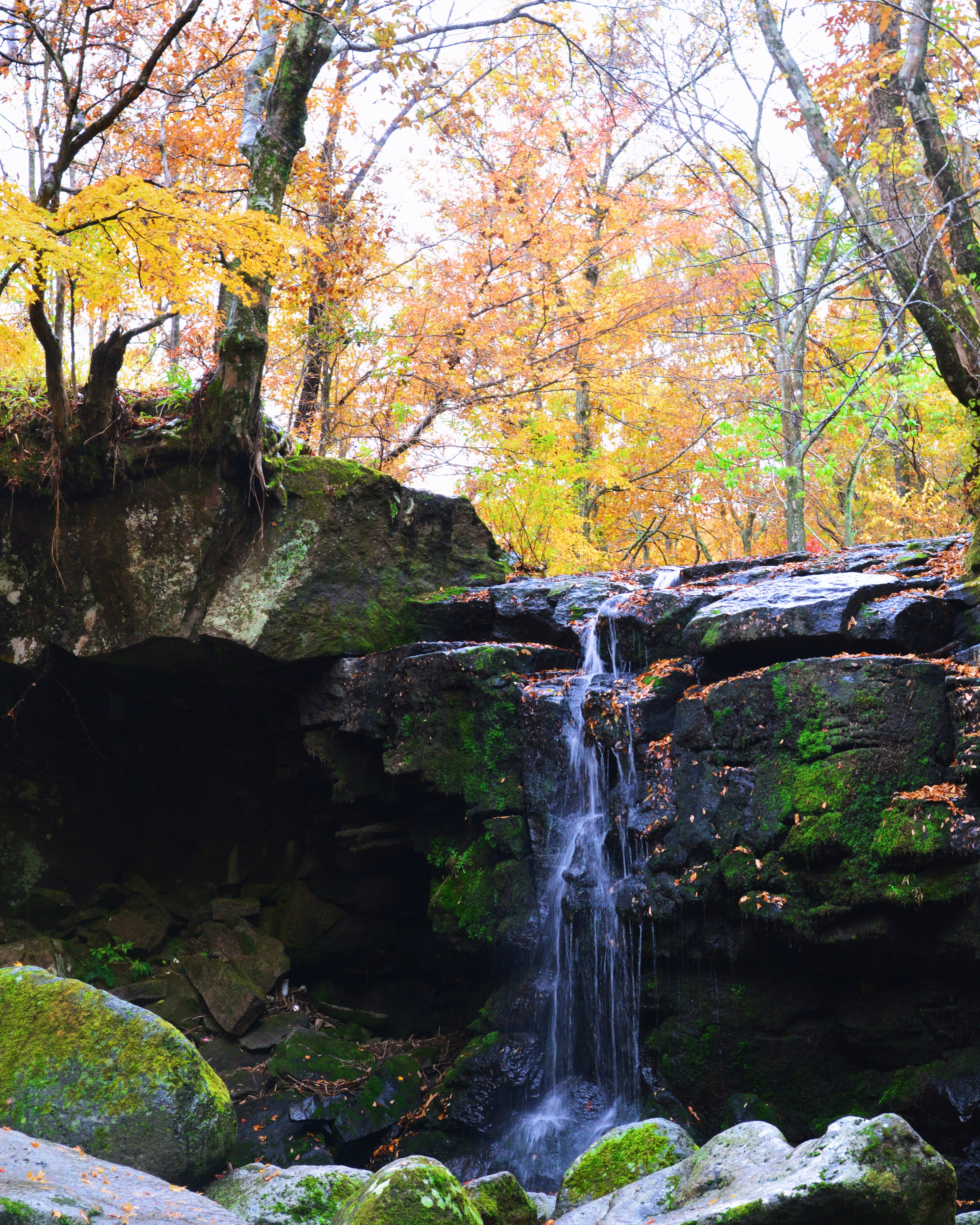 Malerischer Wasserfall umgeben von herbstlichem Laub und moosbedeckten Felsen