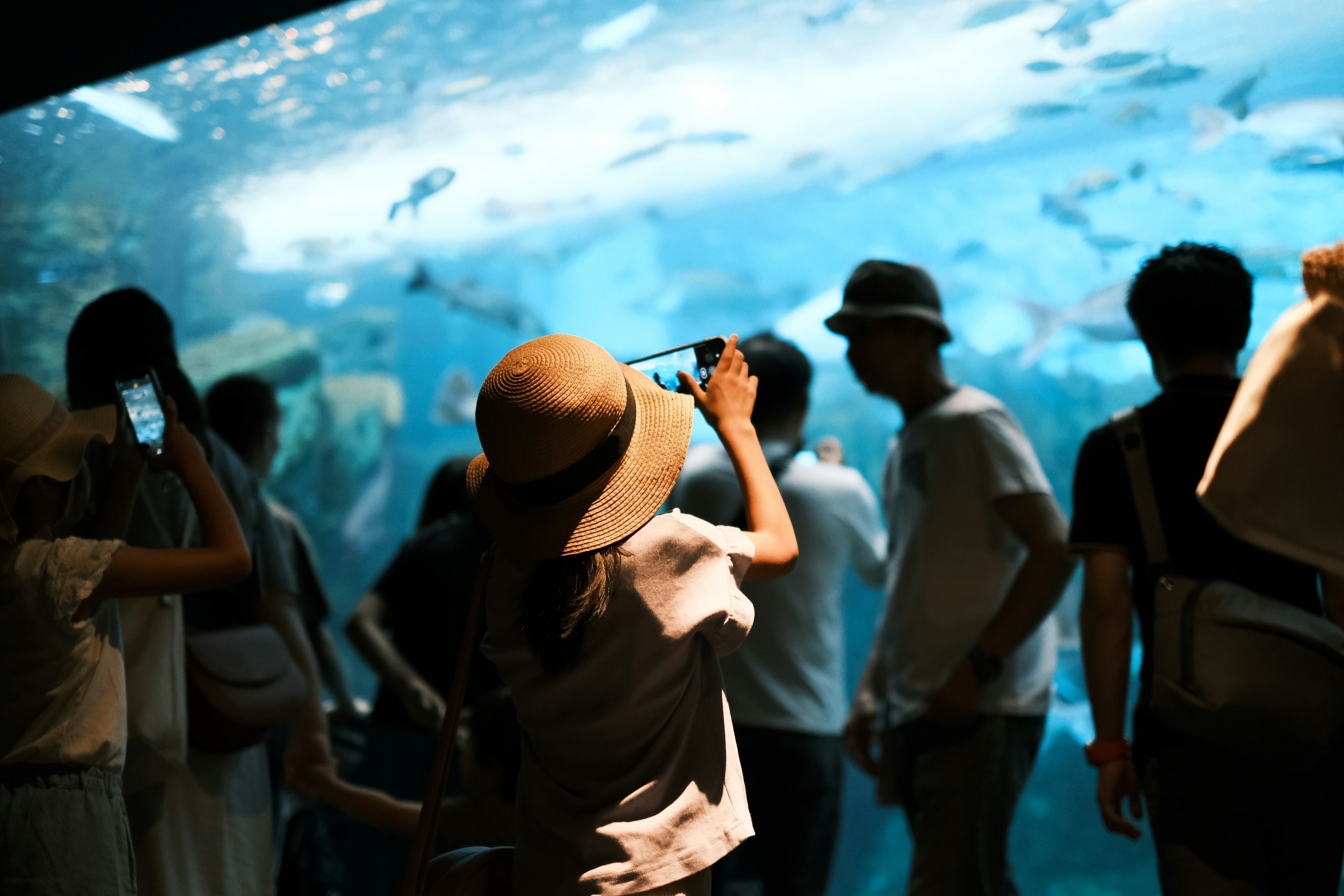 Visitors observing fish at an aquarium with a child taking a photo