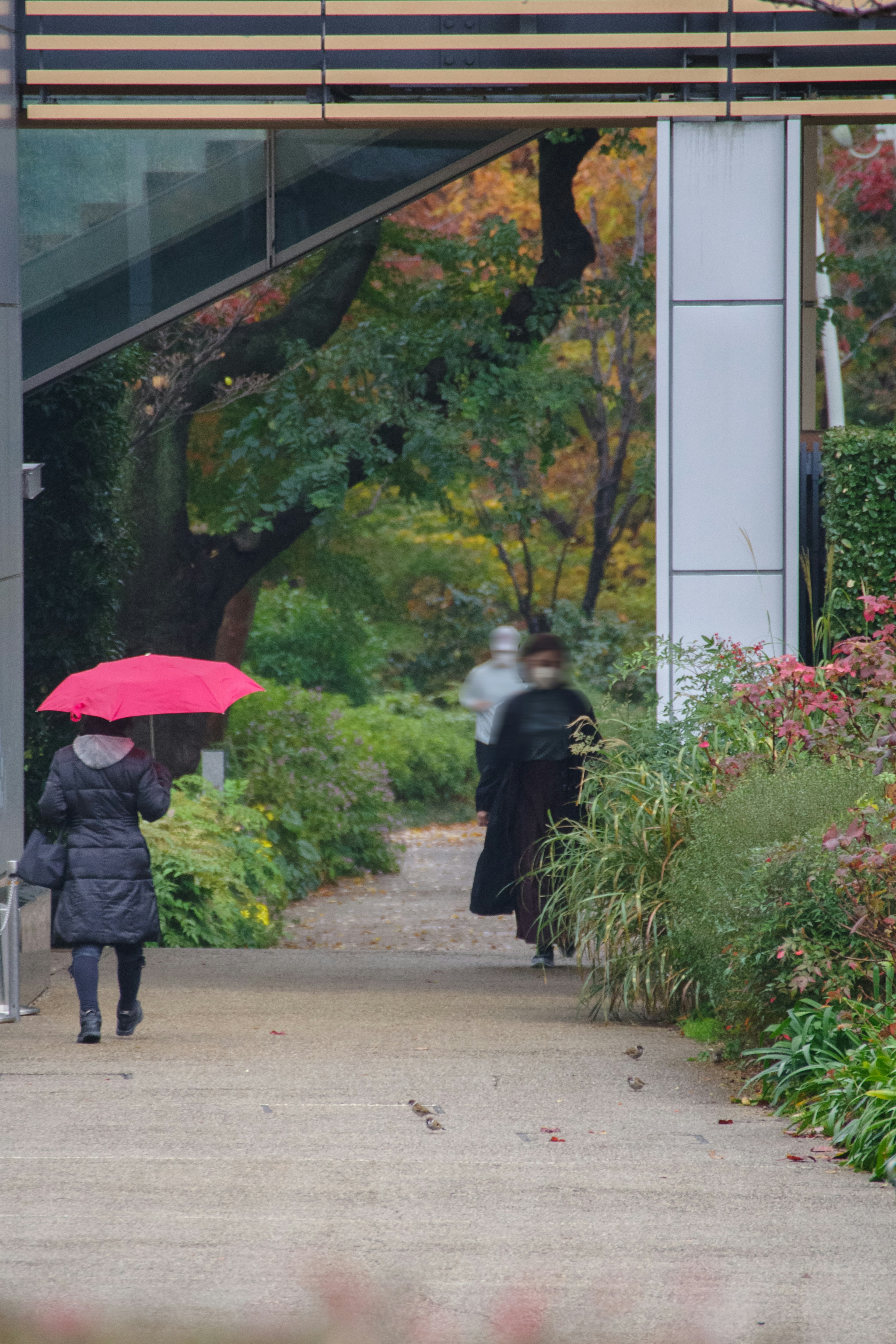 赤い傘を持った女性と黒いコートの人物が歩く庭園のシーン