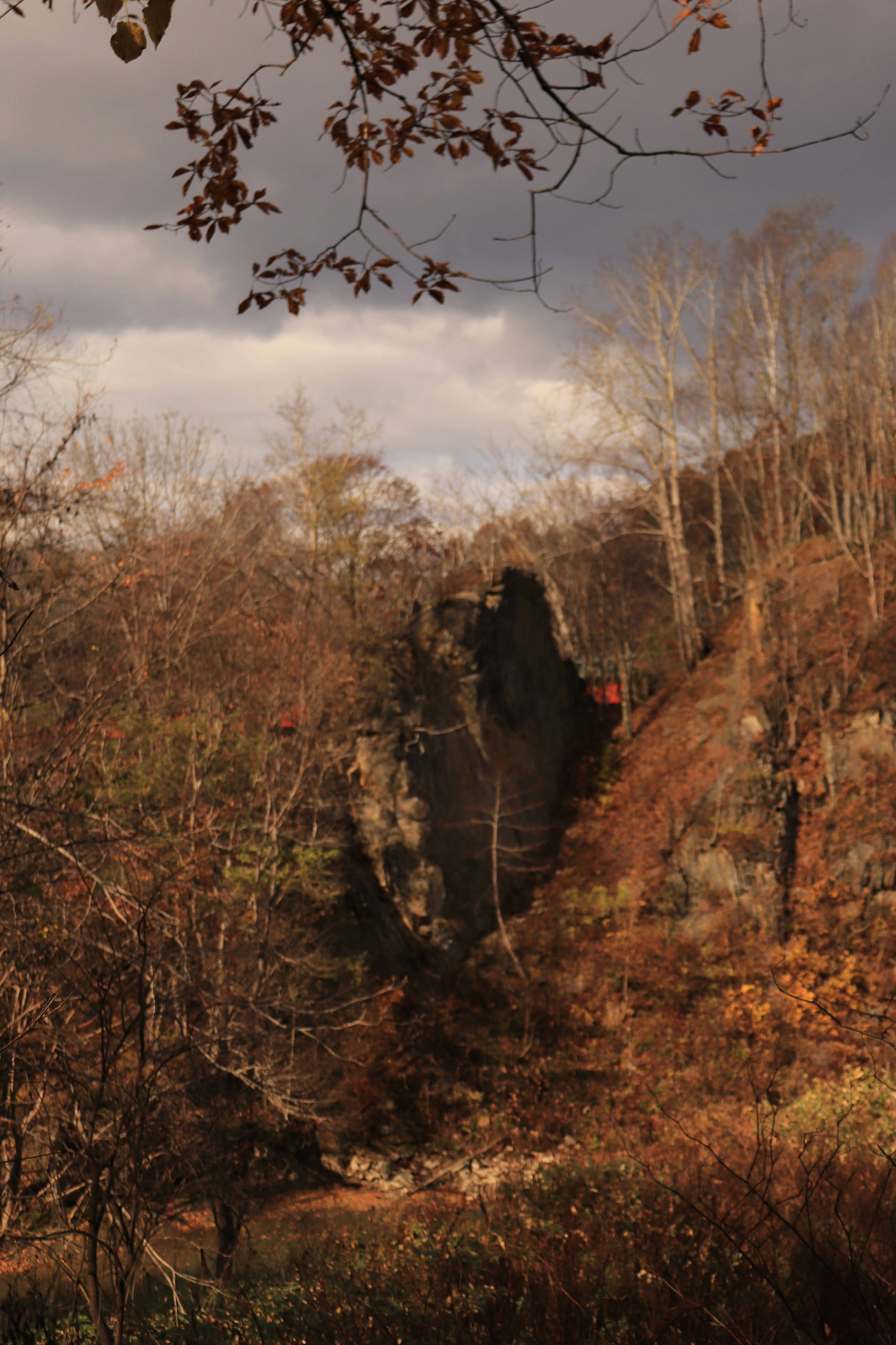 Image of a rock formation surrounded by autumn foliage