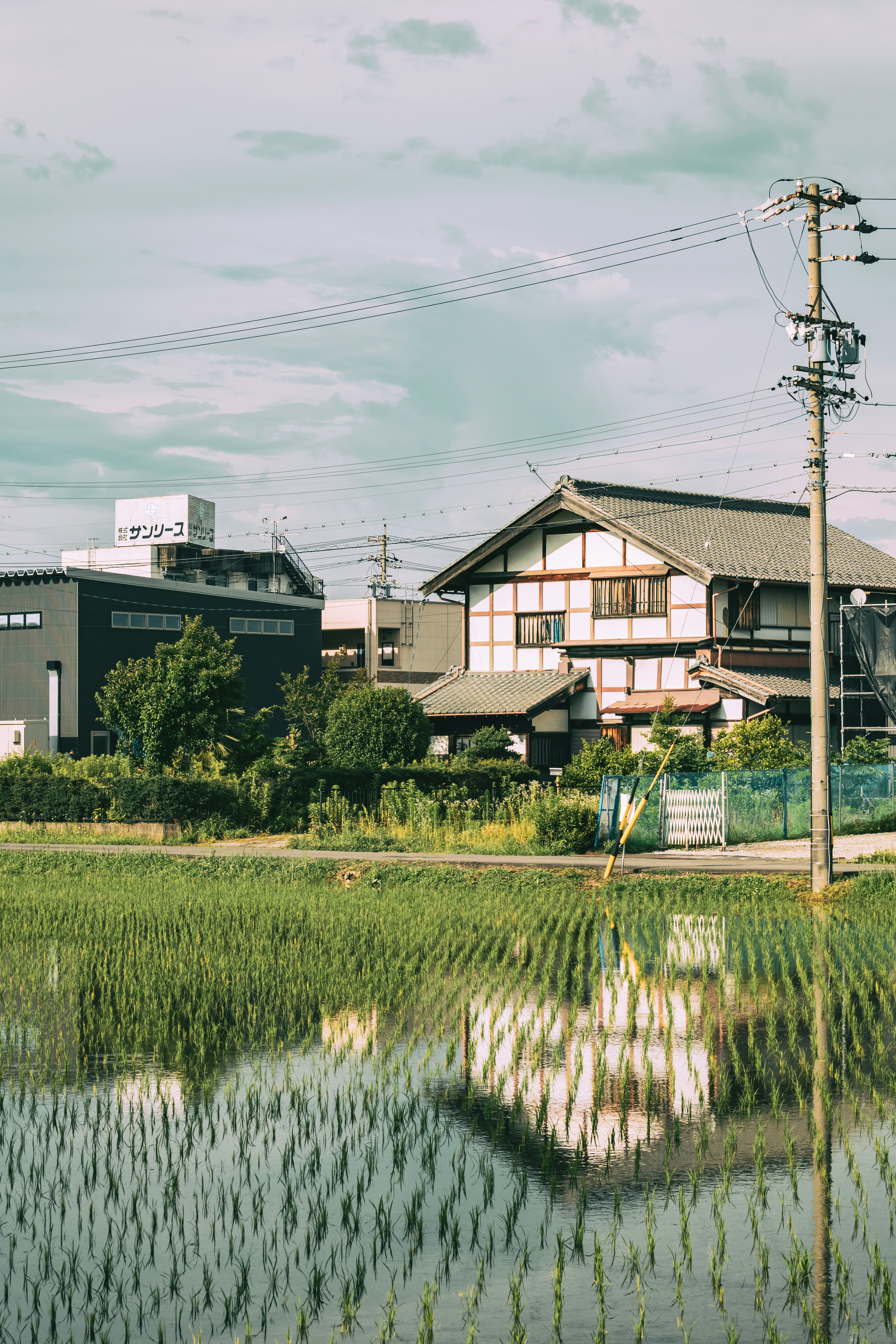 田んぼの反射に映る伝統的な日本家屋と現代的な建物