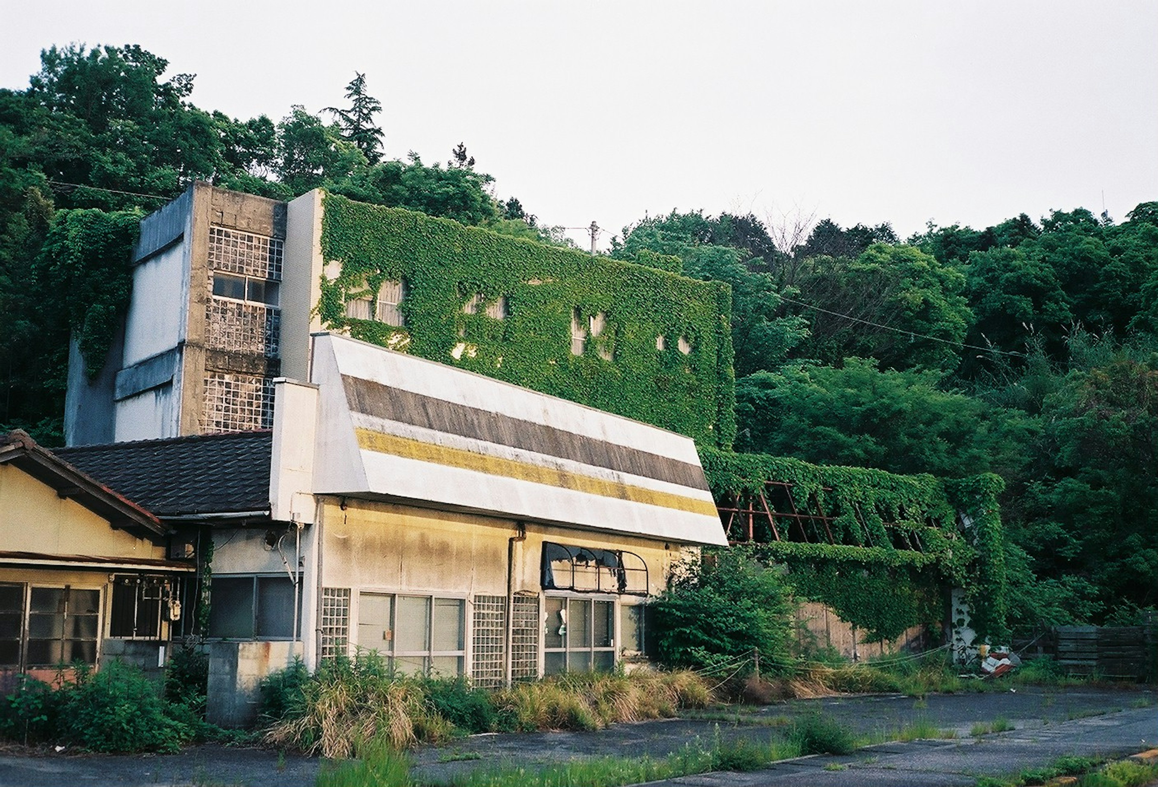 Abandoned building covered in greenery with surrounding nature