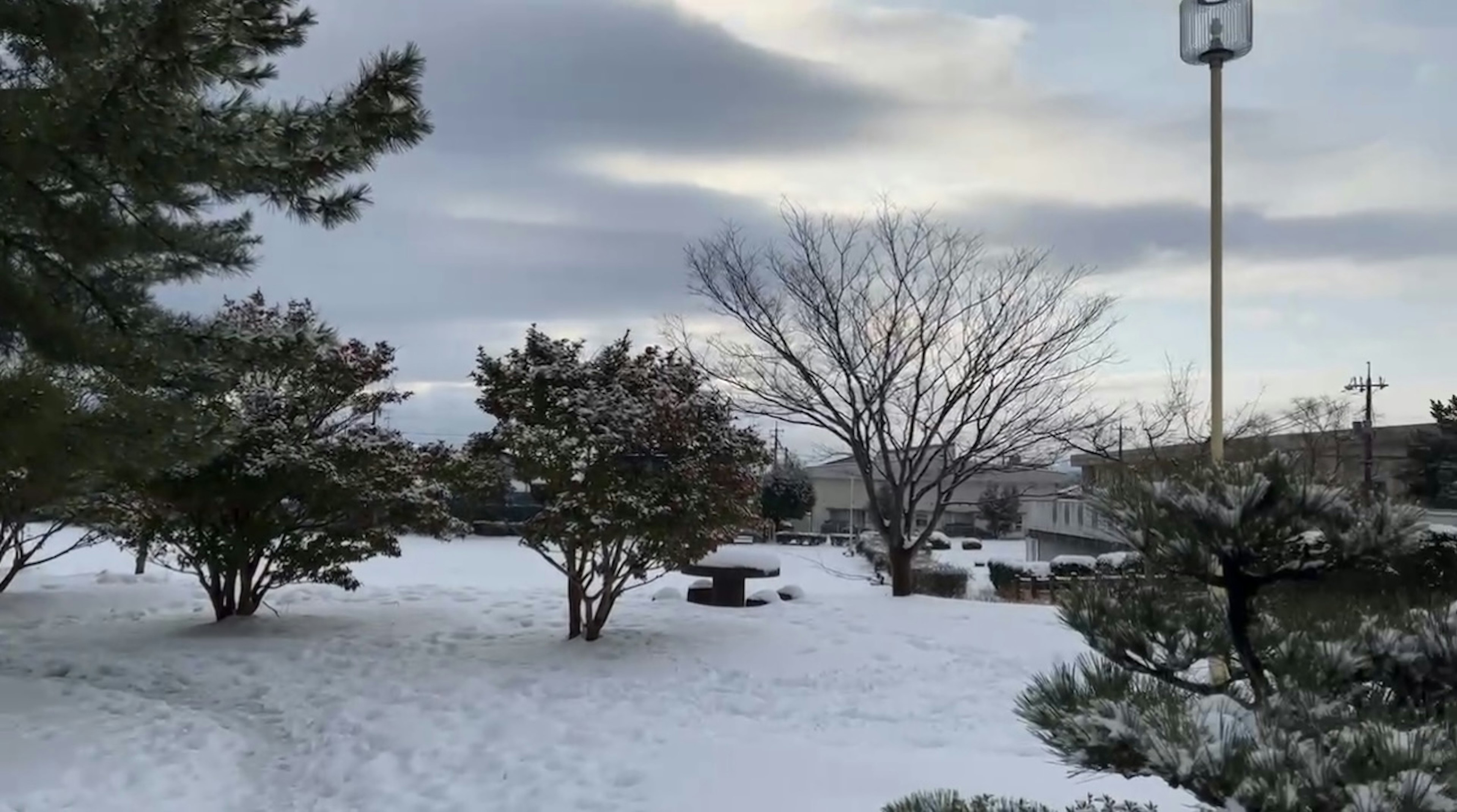 Snow-covered park scene featuring trees and a cloudy sky