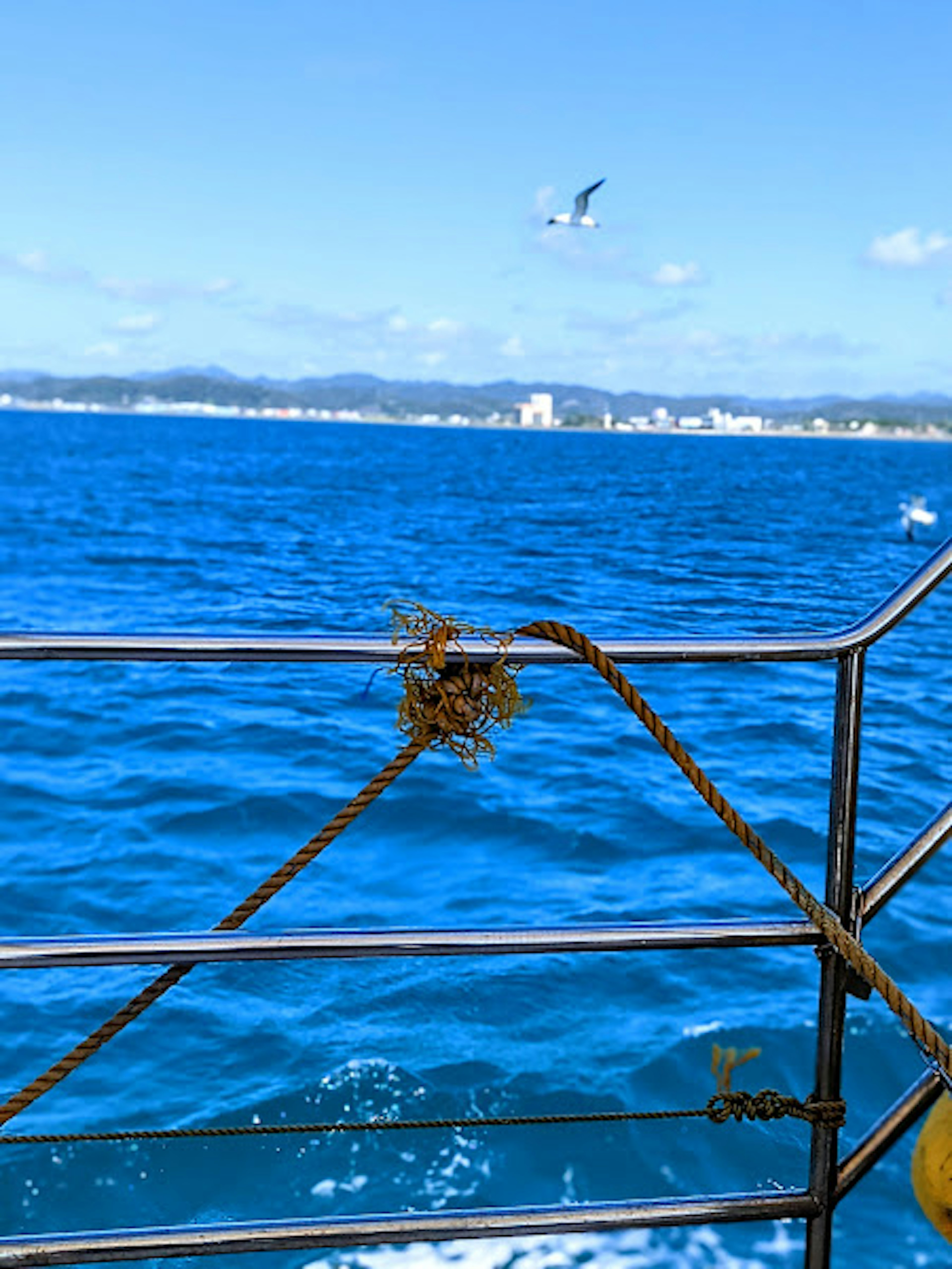 青い海と船の手すりに絡まったロープの画像